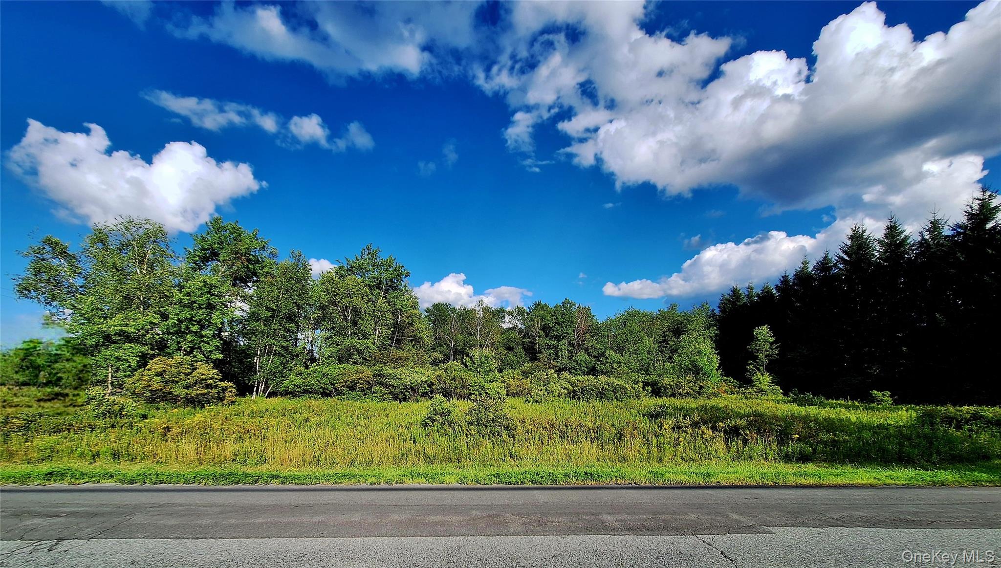 Burnt Ridge Road – For Sale photo 19