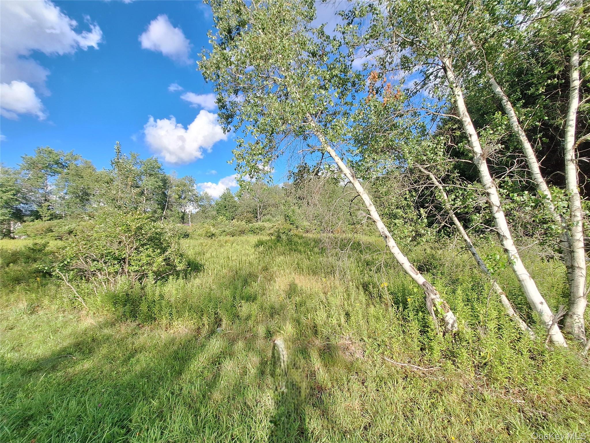 Burnt Ridge Road – For Sale photo 26