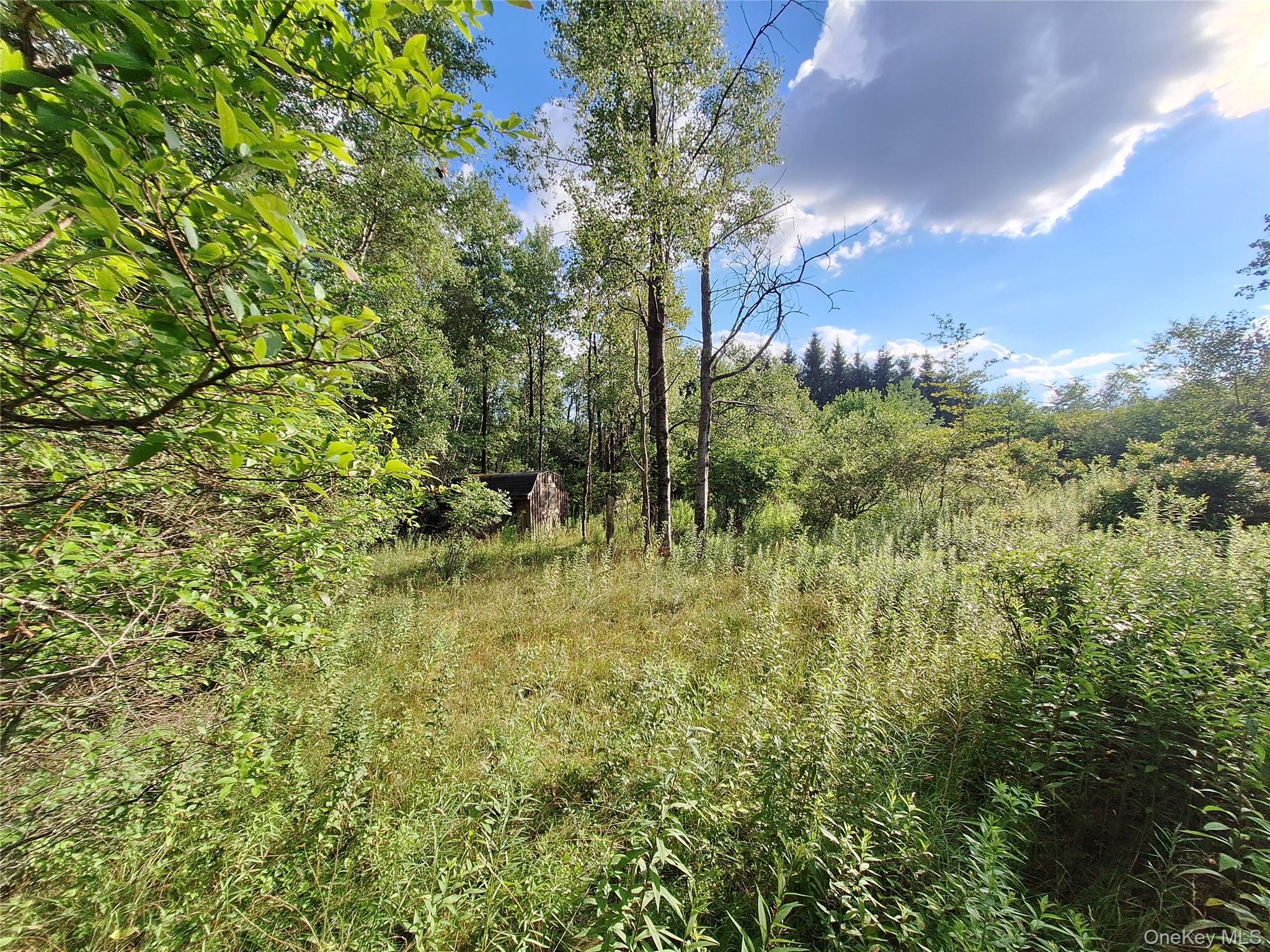 Burnt Ridge Road – For Sale photo 5