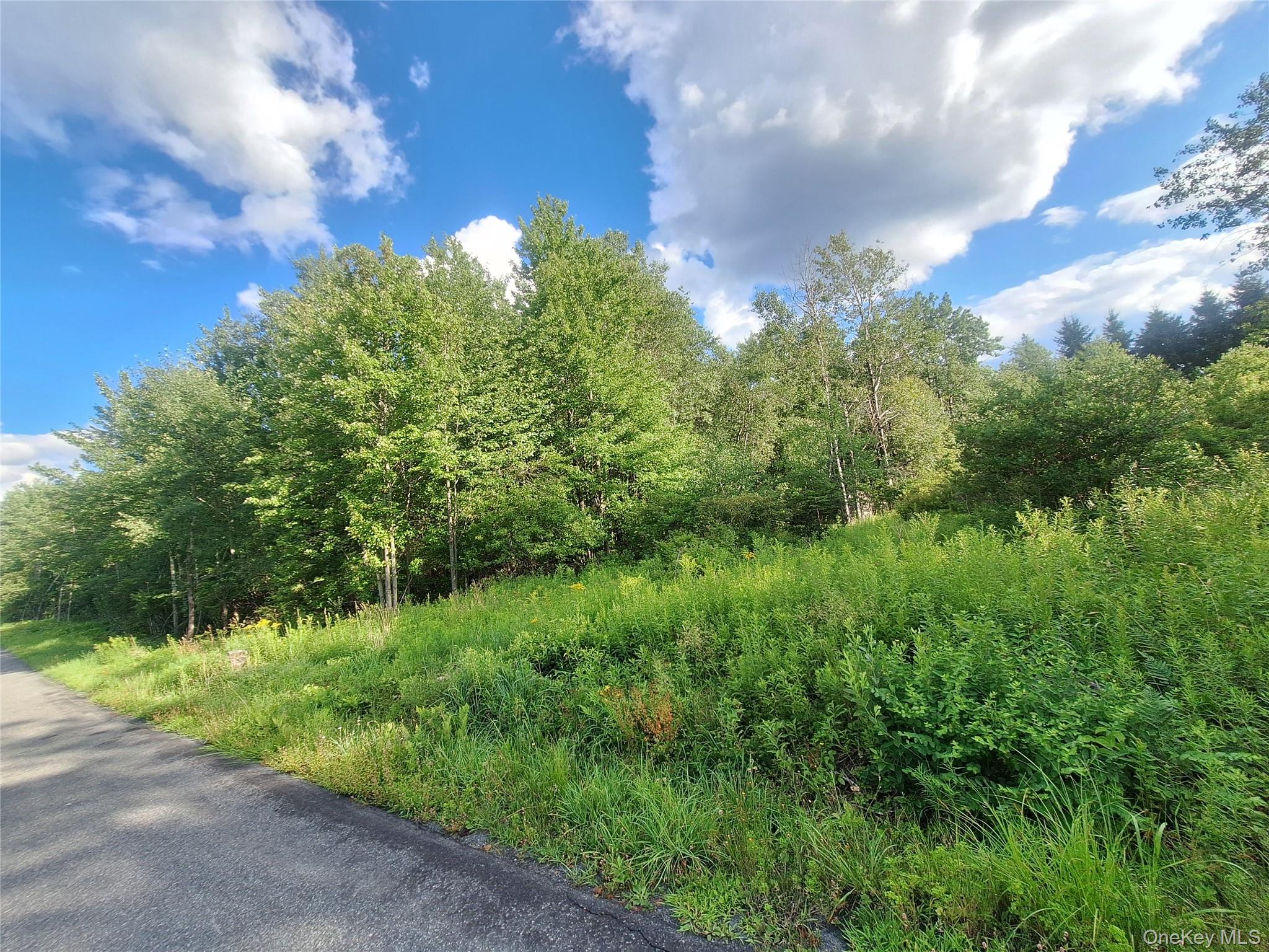 Burnt Ridge Road – For Sale photo 32