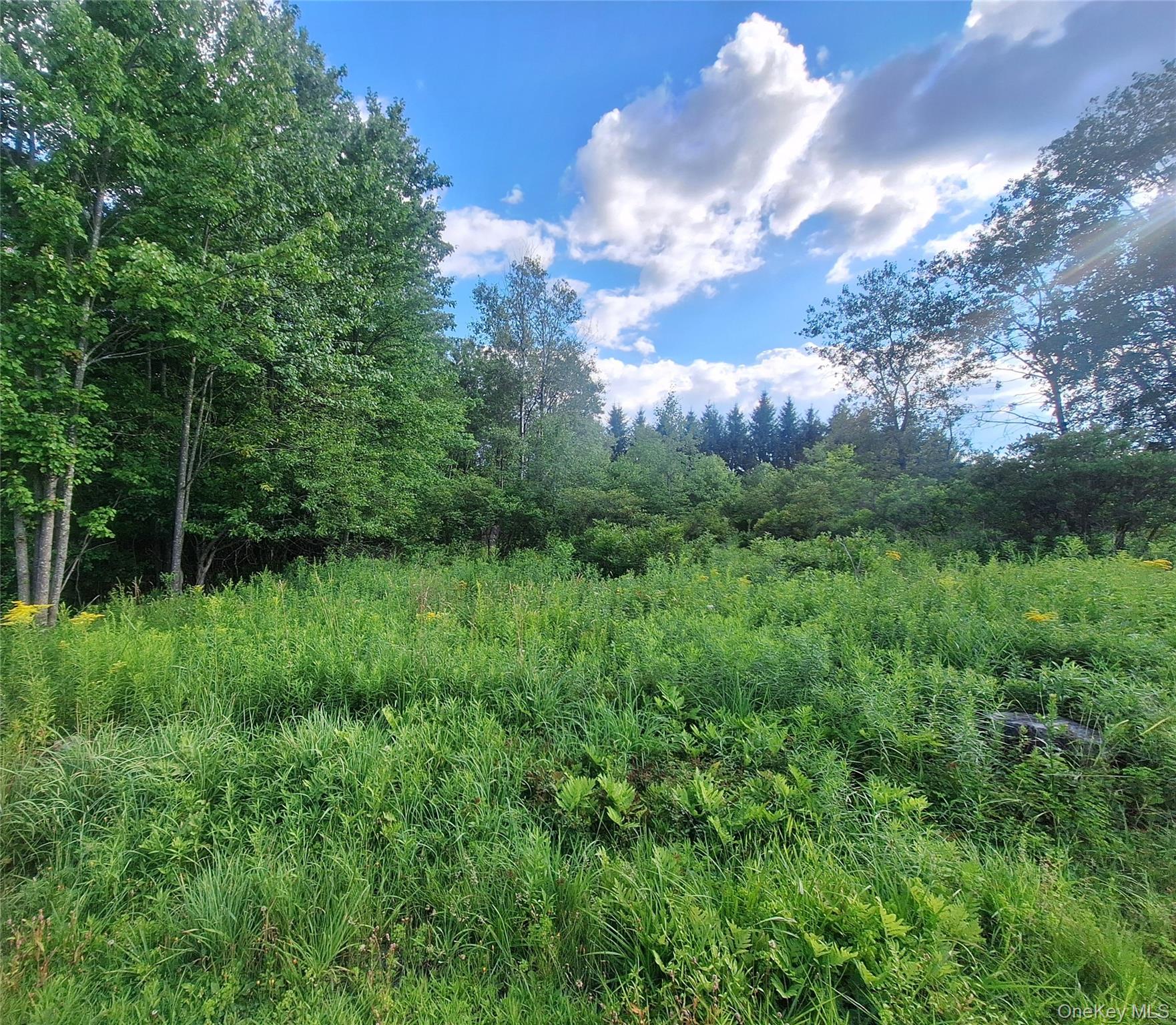Burnt Ridge Road – For Sale photo 2