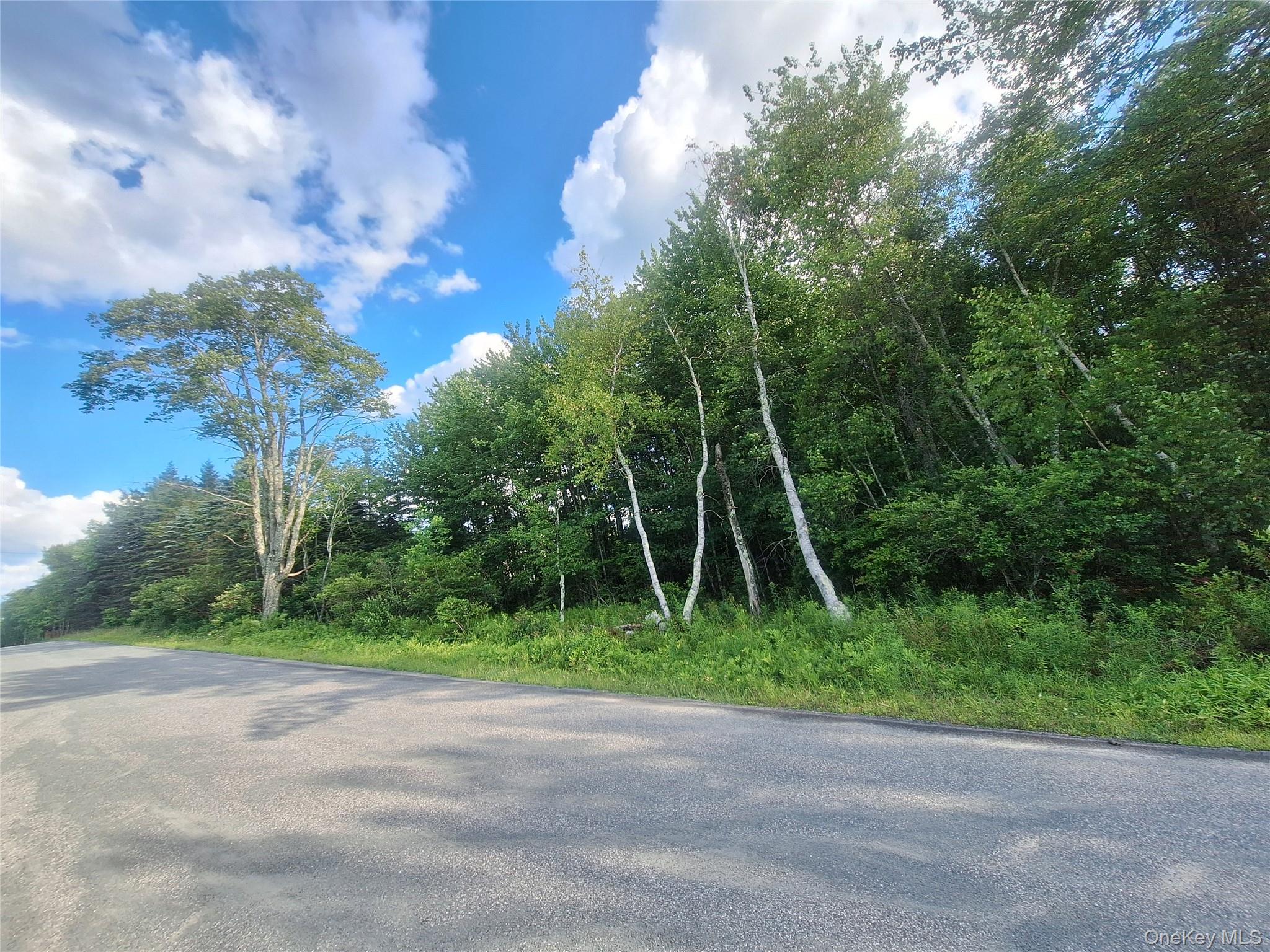 Burnt Ridge Road – For Sale photo 34