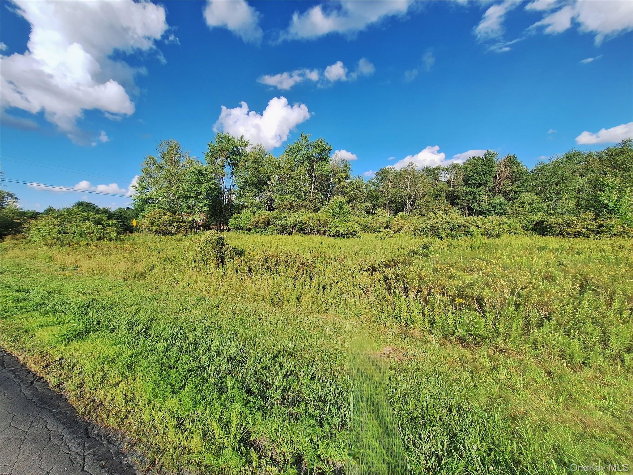 Burnt Ridge Road – For Sale photo 21