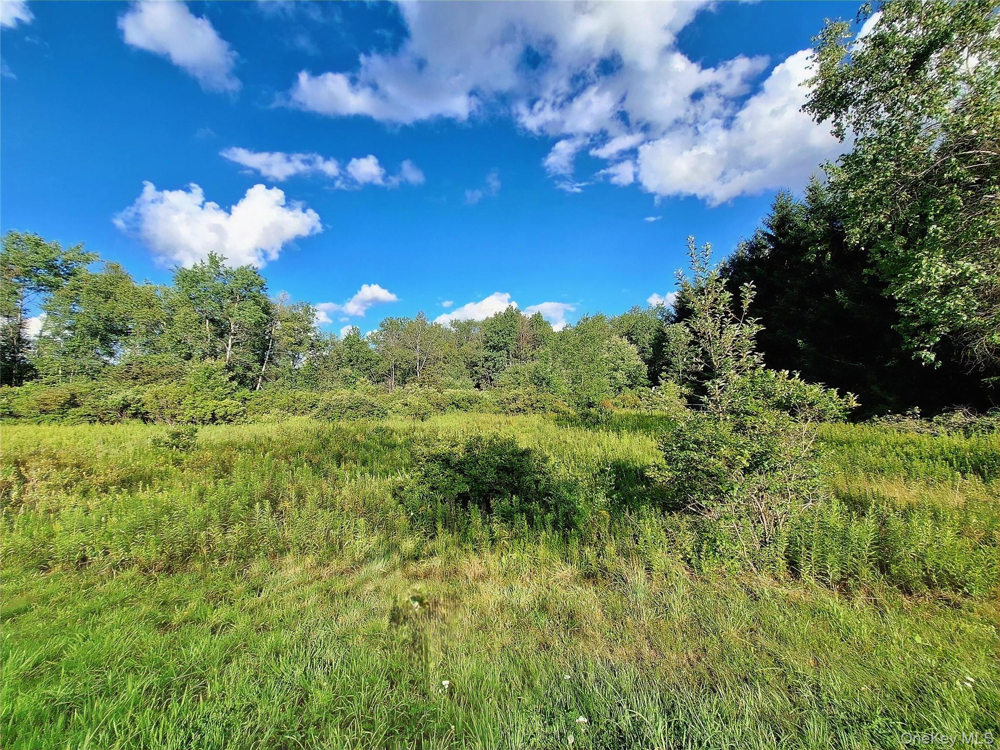 Burnt Ridge Road – For Sale photo 23