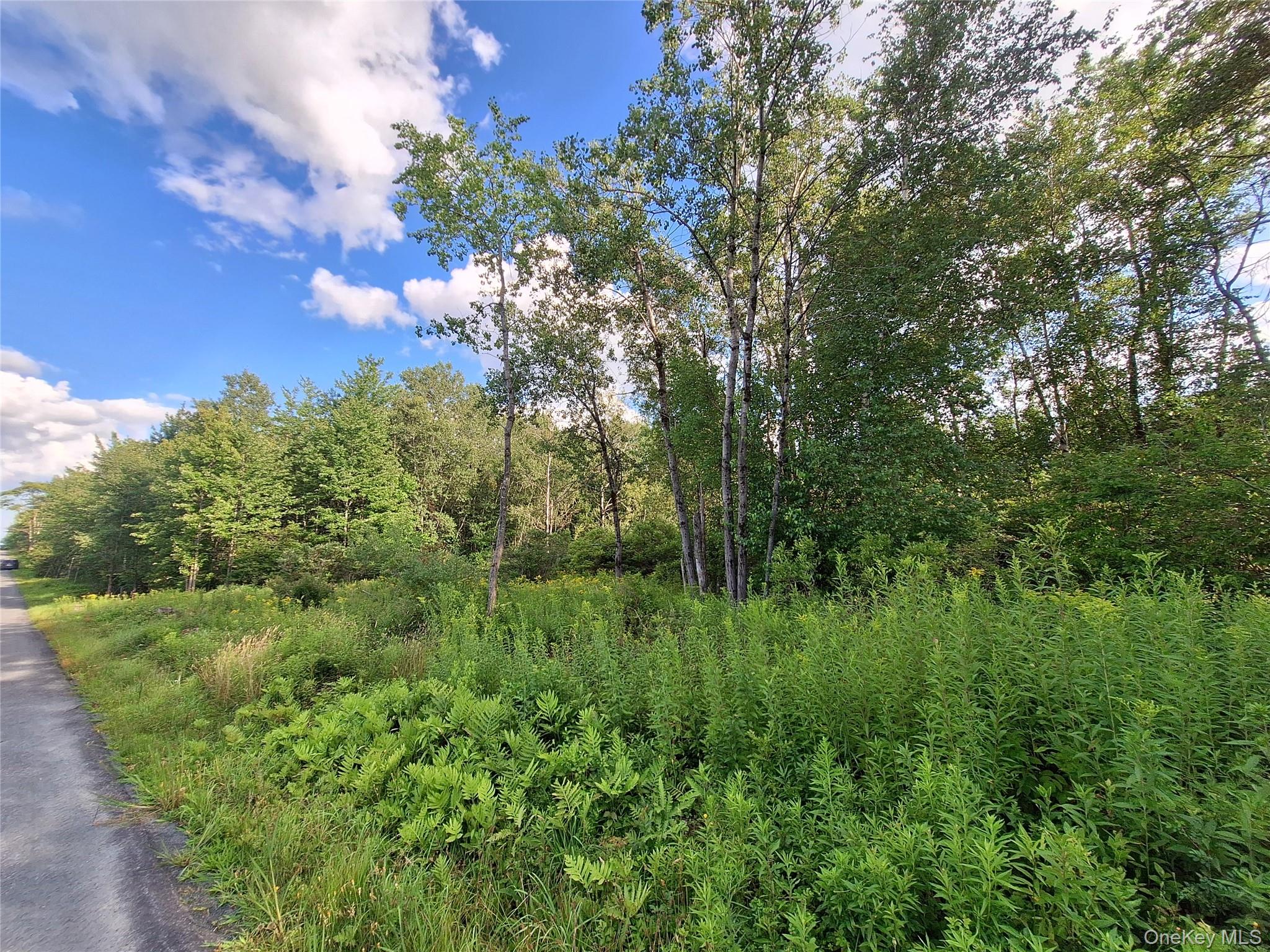 Burnt Ridge Road – For Sale photo 29
