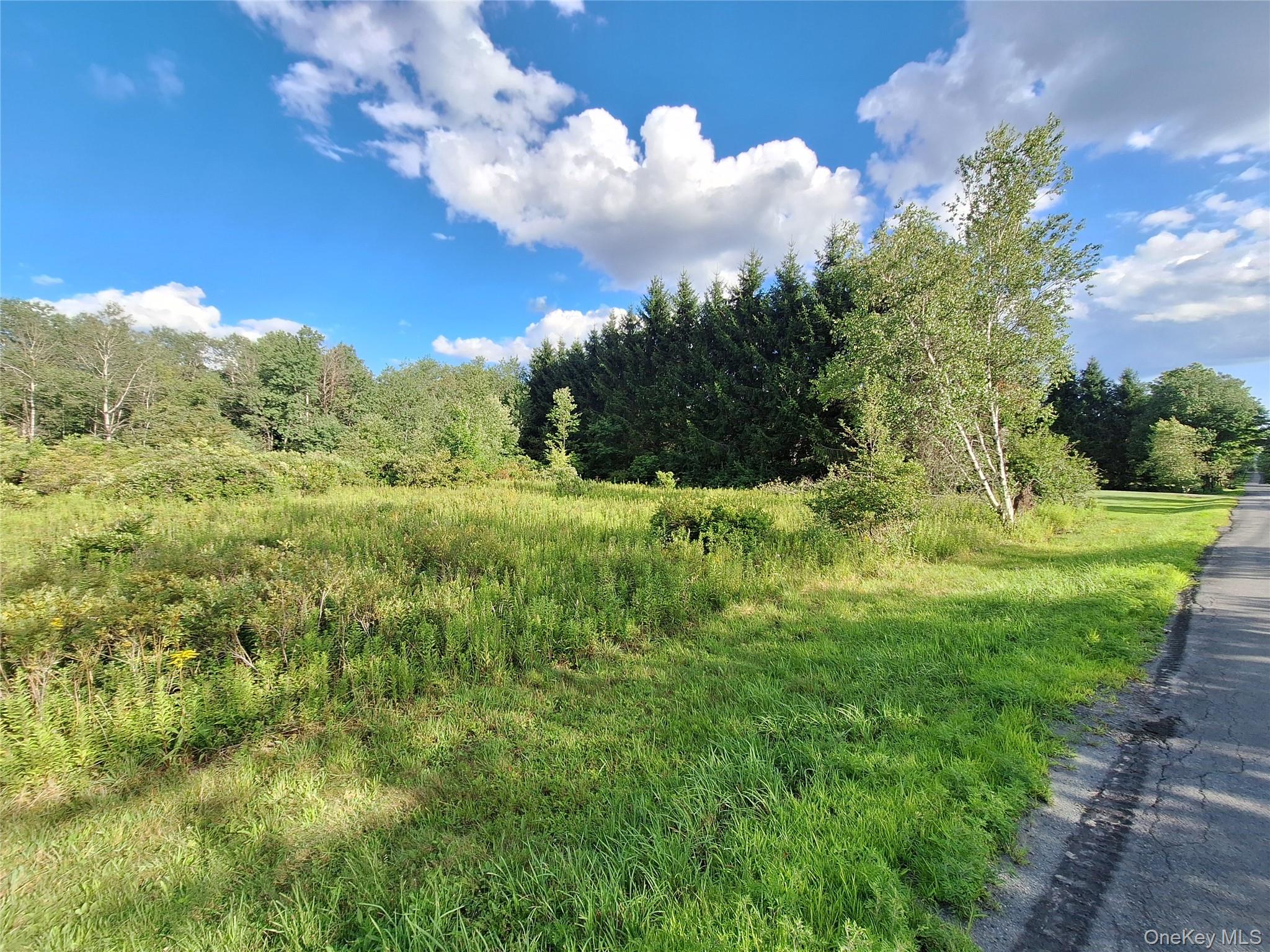 Burnt Ridge Road – For Sale photo 22