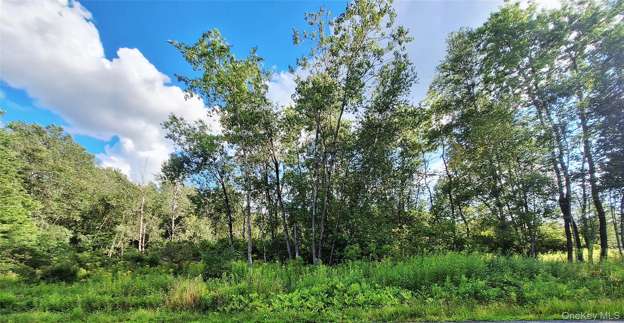 Burnt Ridge Road – For Sale photo 14