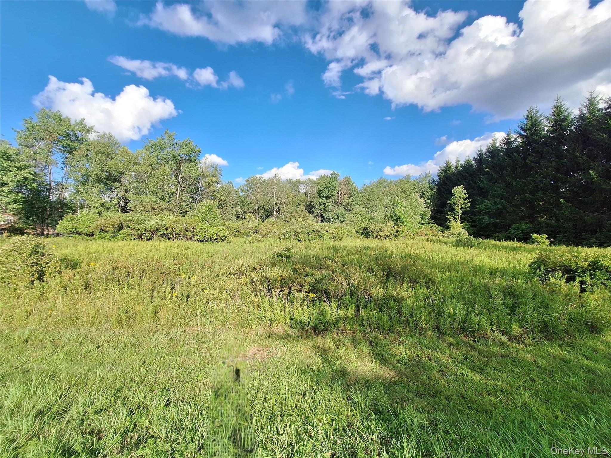 Burnt Ridge Road – For Sale photo 20