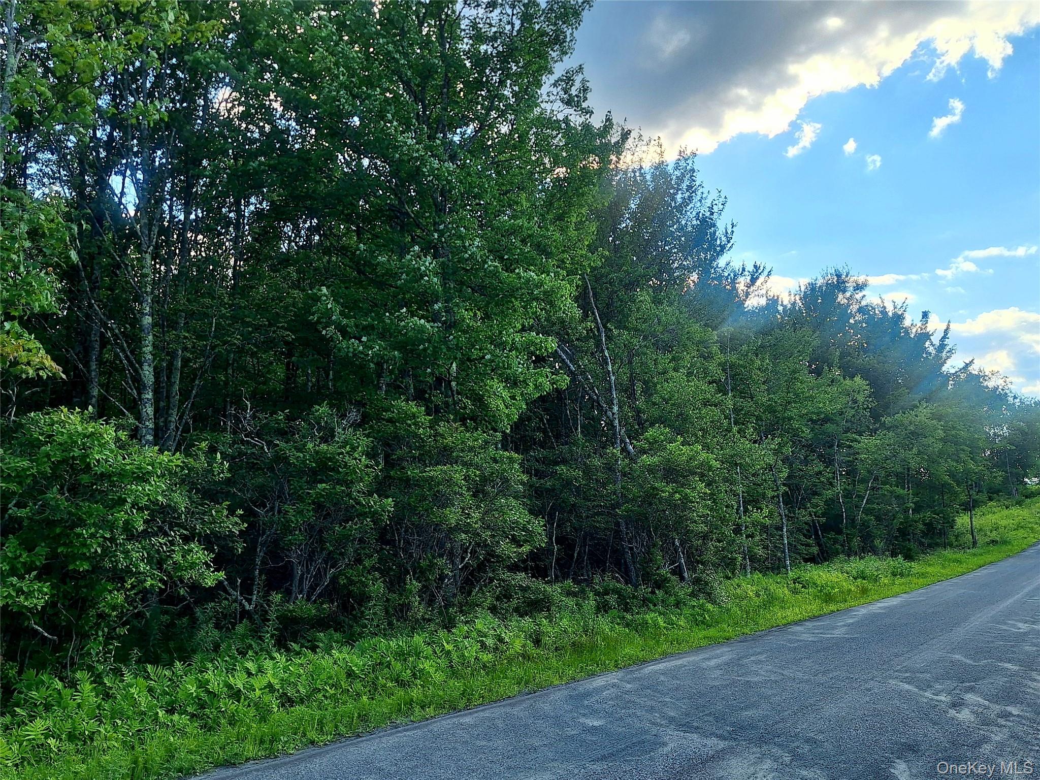 Burnt Ridge Road – For Sale