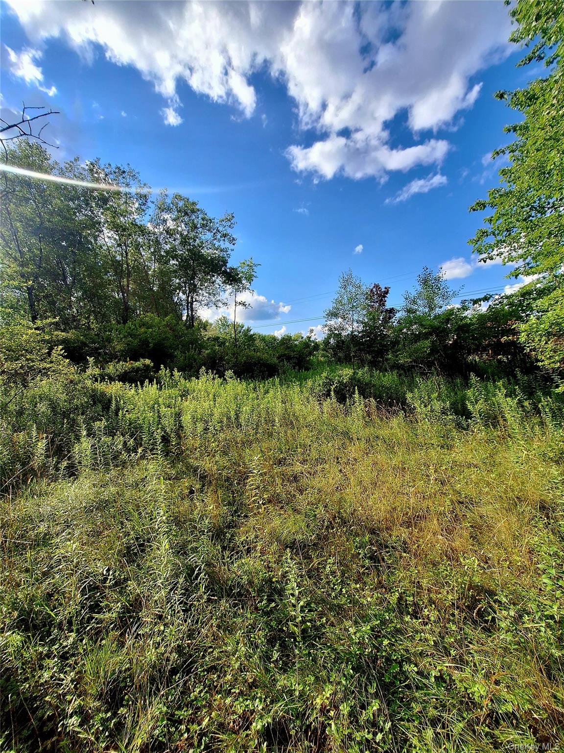 Burnt Ridge Road – For Sale photo 9