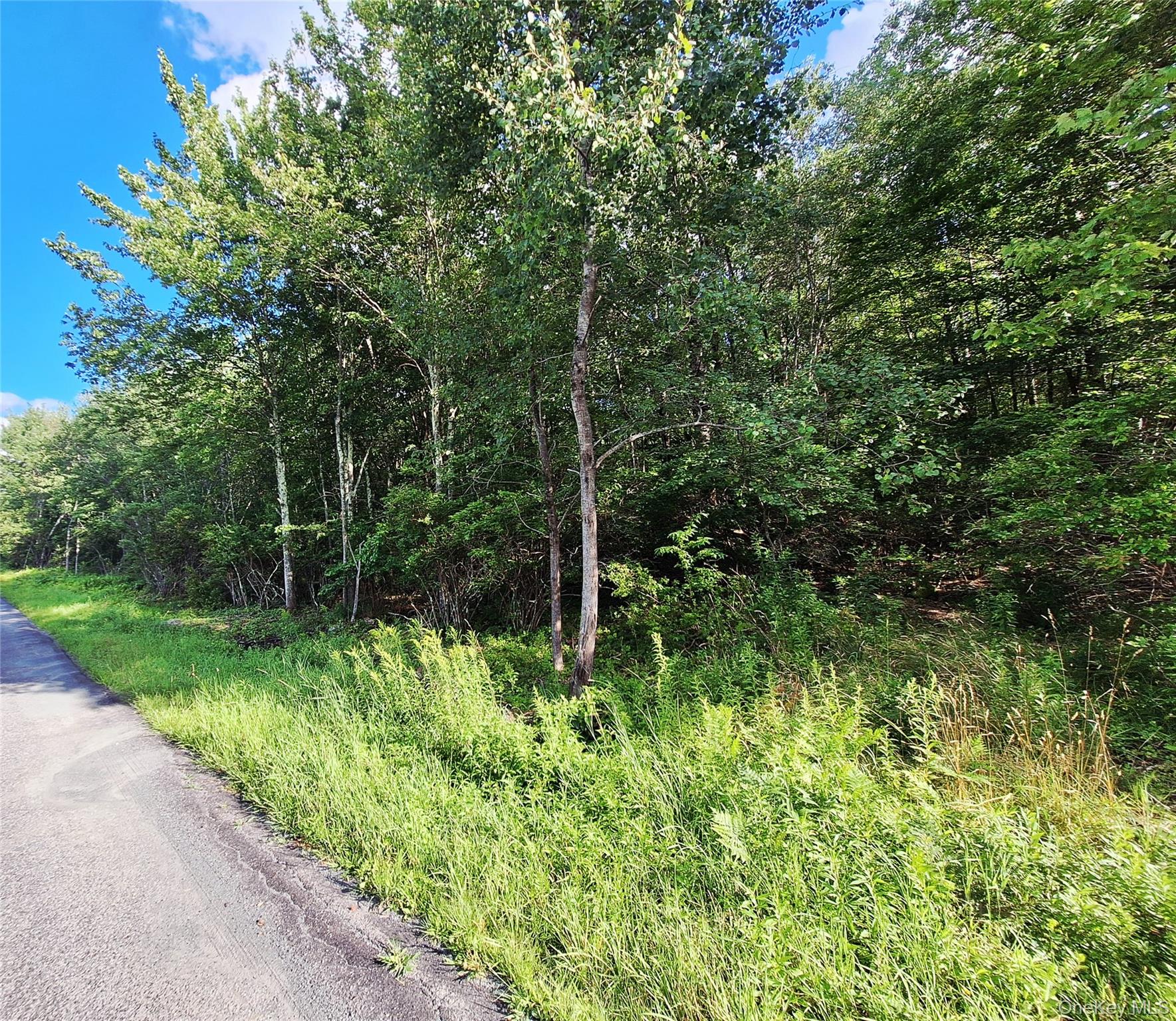Burnt Ridge Road – For Sale photo 12