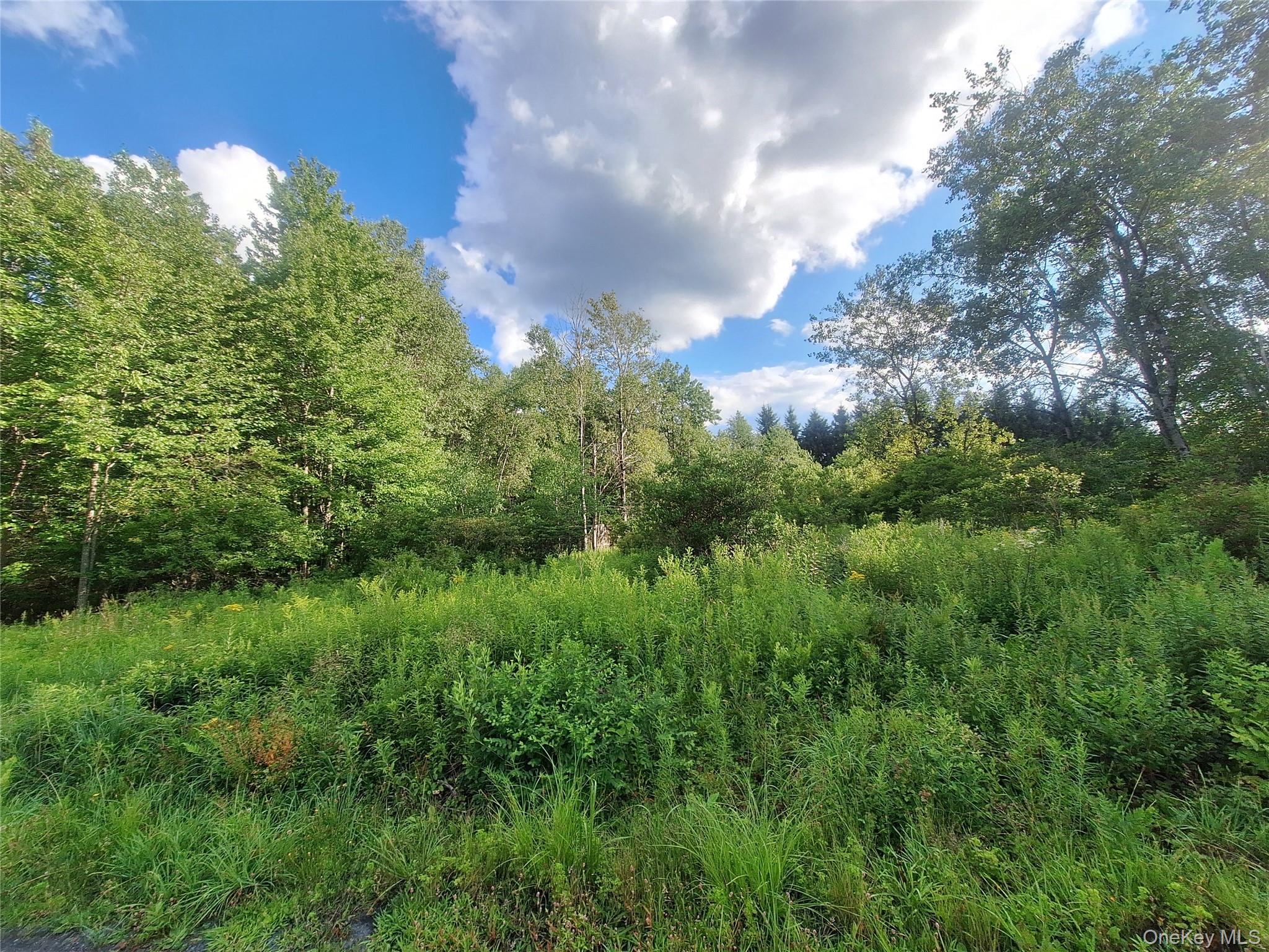 Burnt Ridge Road – For Sale photo 31
