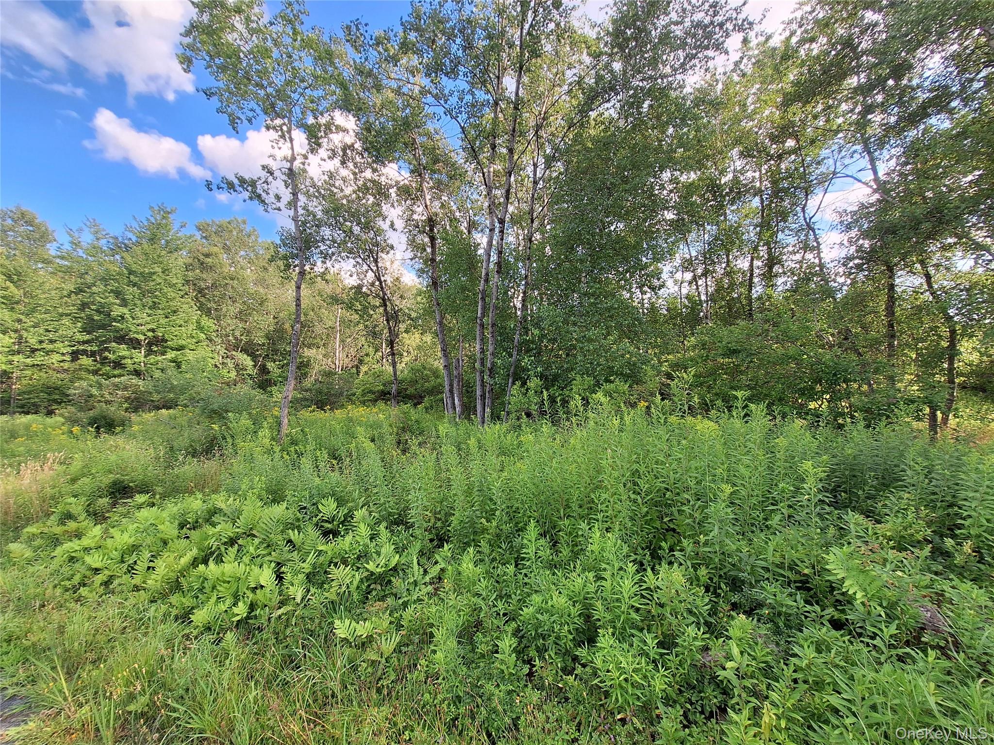 Burnt Ridge Road – For Sale photo 28