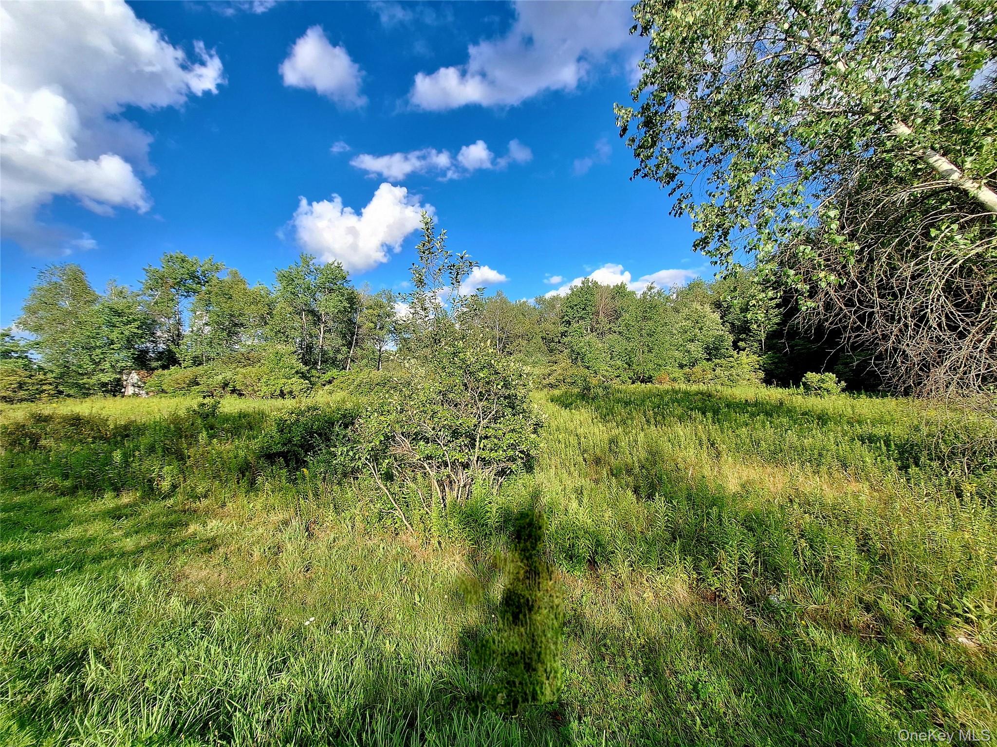 Burnt Ridge Road – For Sale photo 25