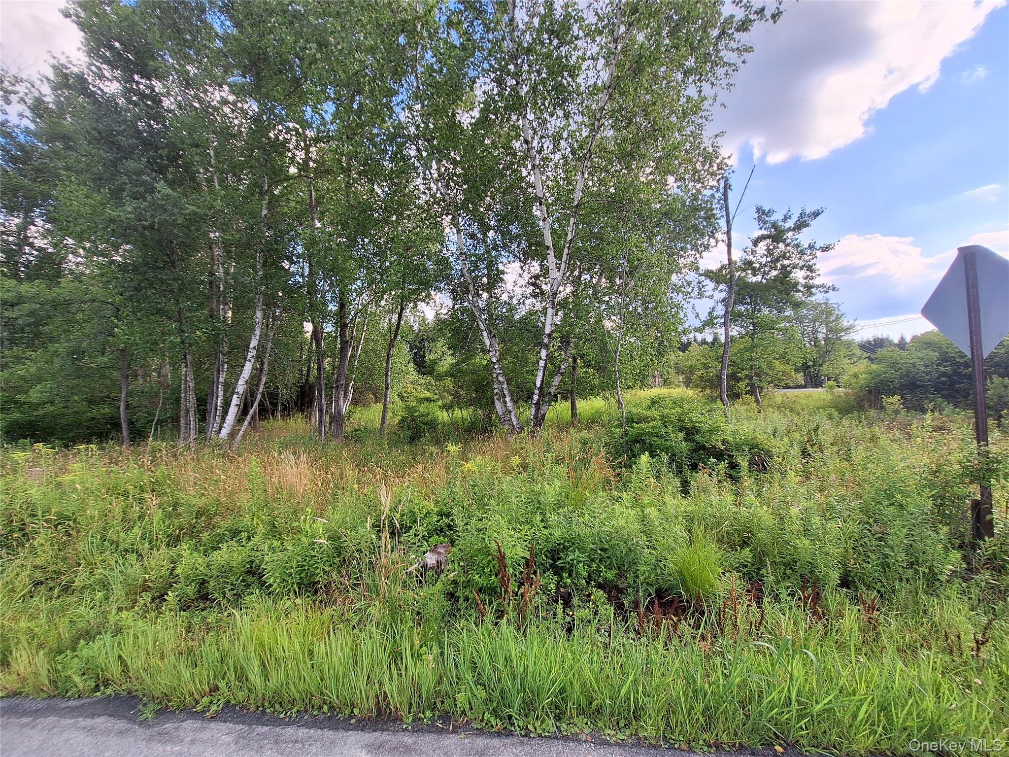 Burnt Ridge Road – For Sale photo 15