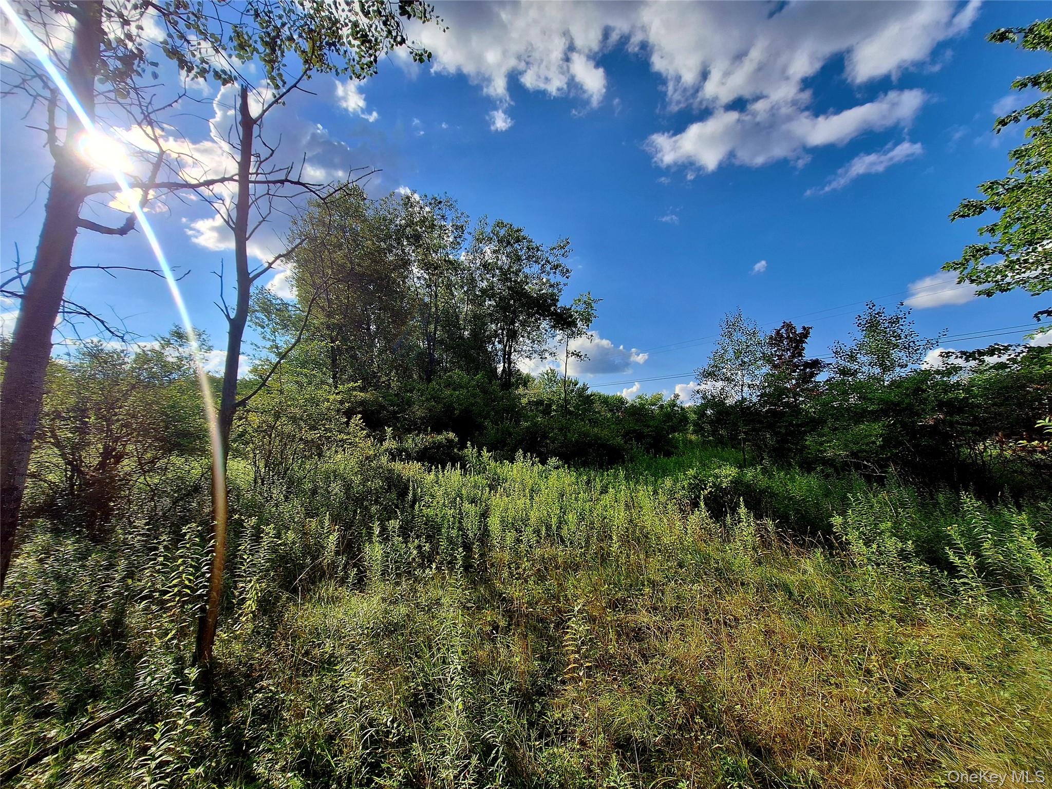 Burnt Ridge Road – For Sale photo 10