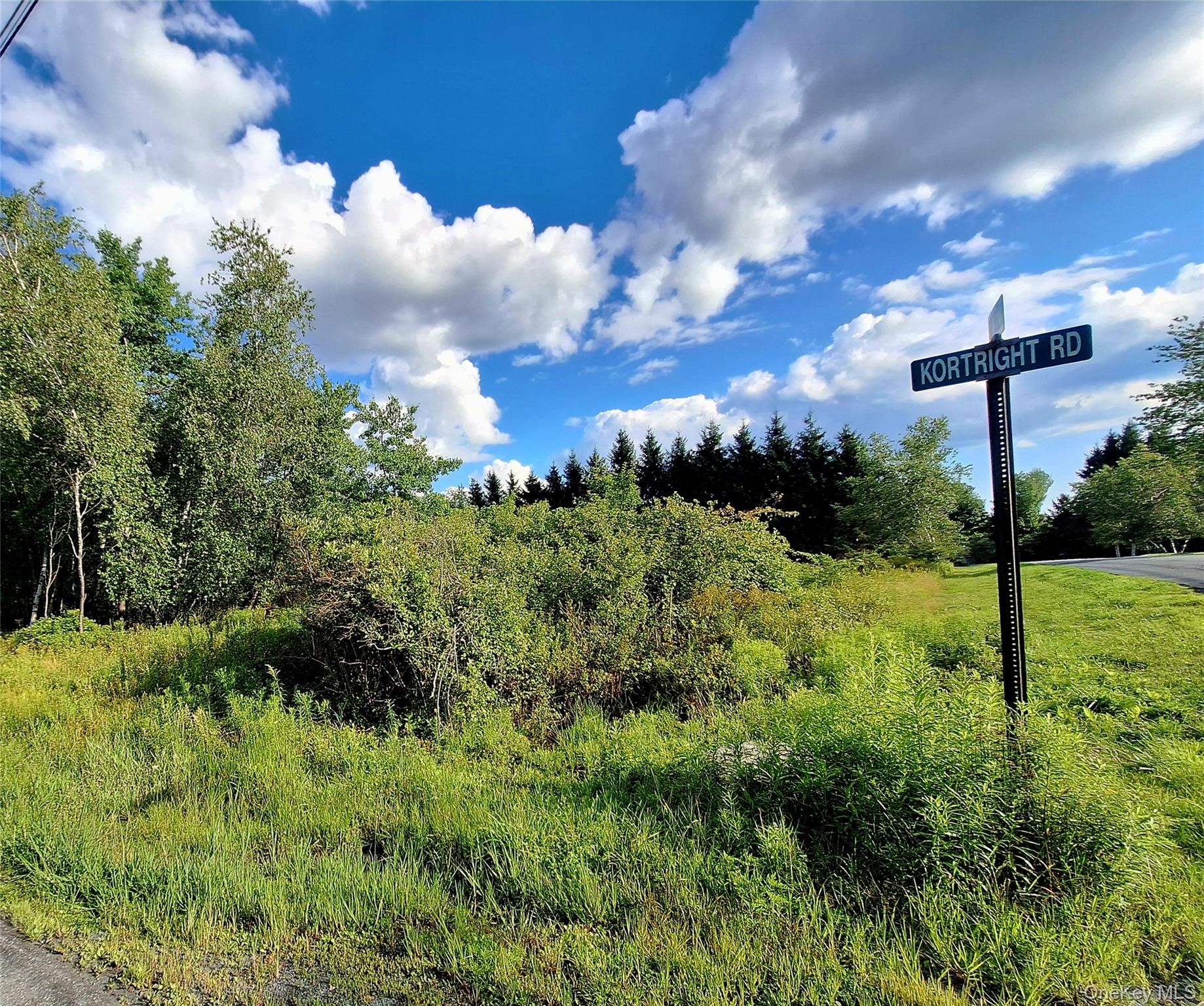 Burnt Ridge Road – For Sale photo 16