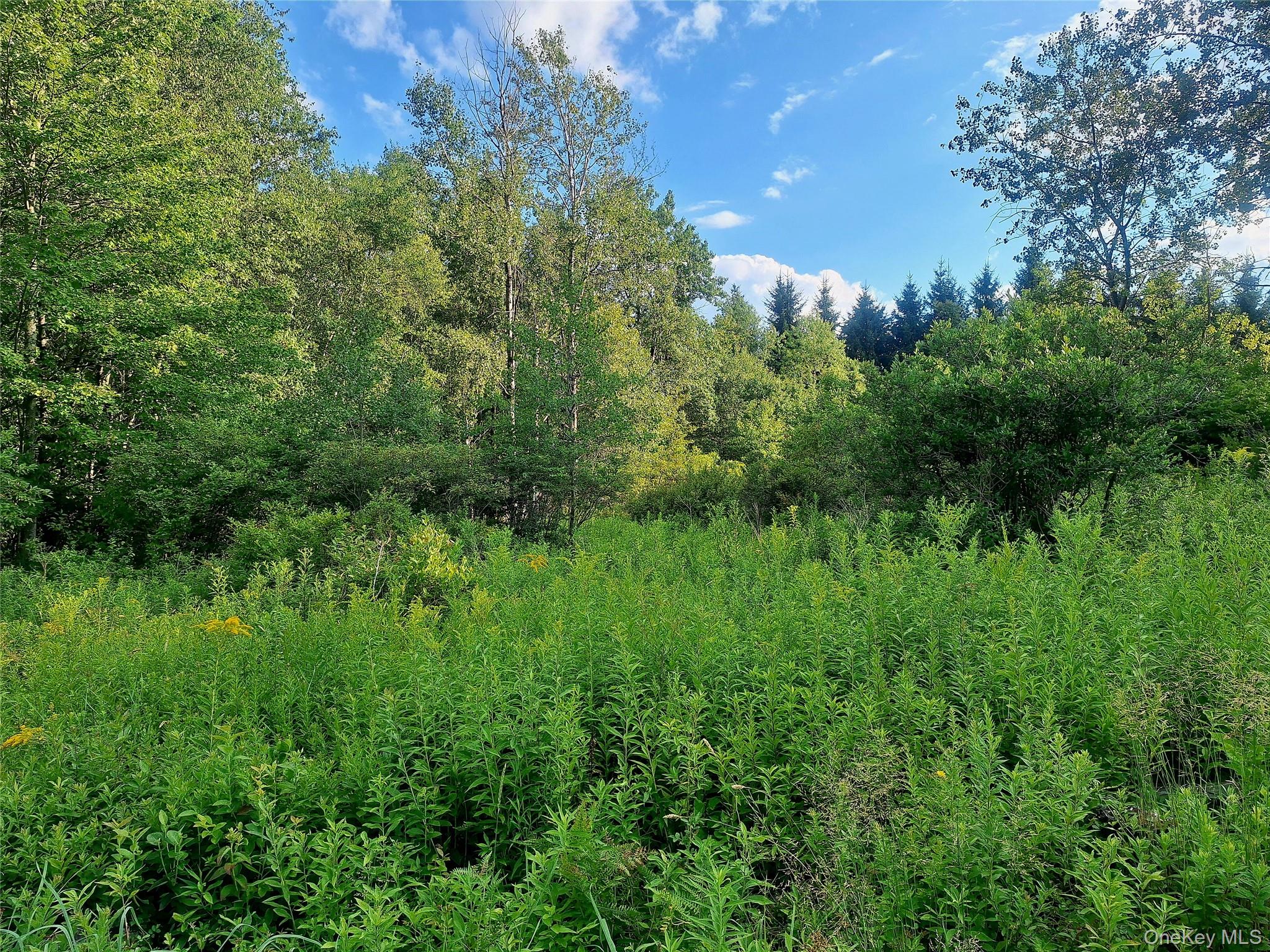 Burnt Ridge Road – For Sale photo 37
