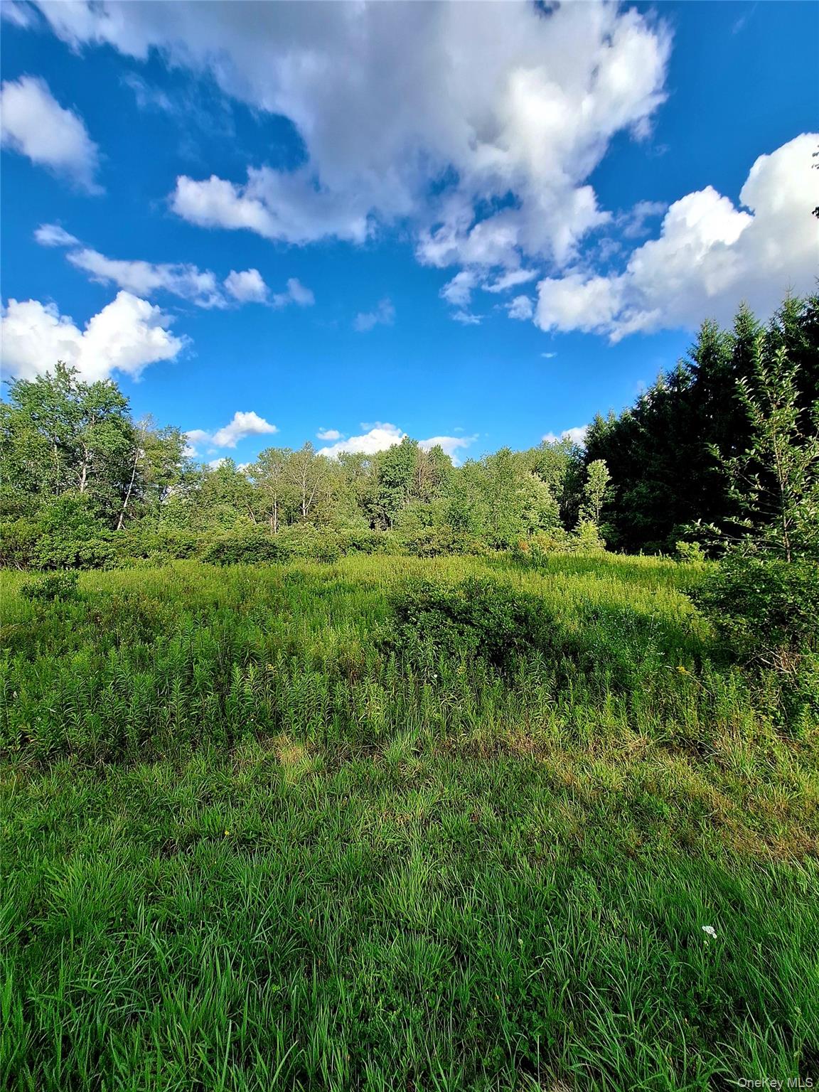 Burnt Ridge Road – For Sale photo 27