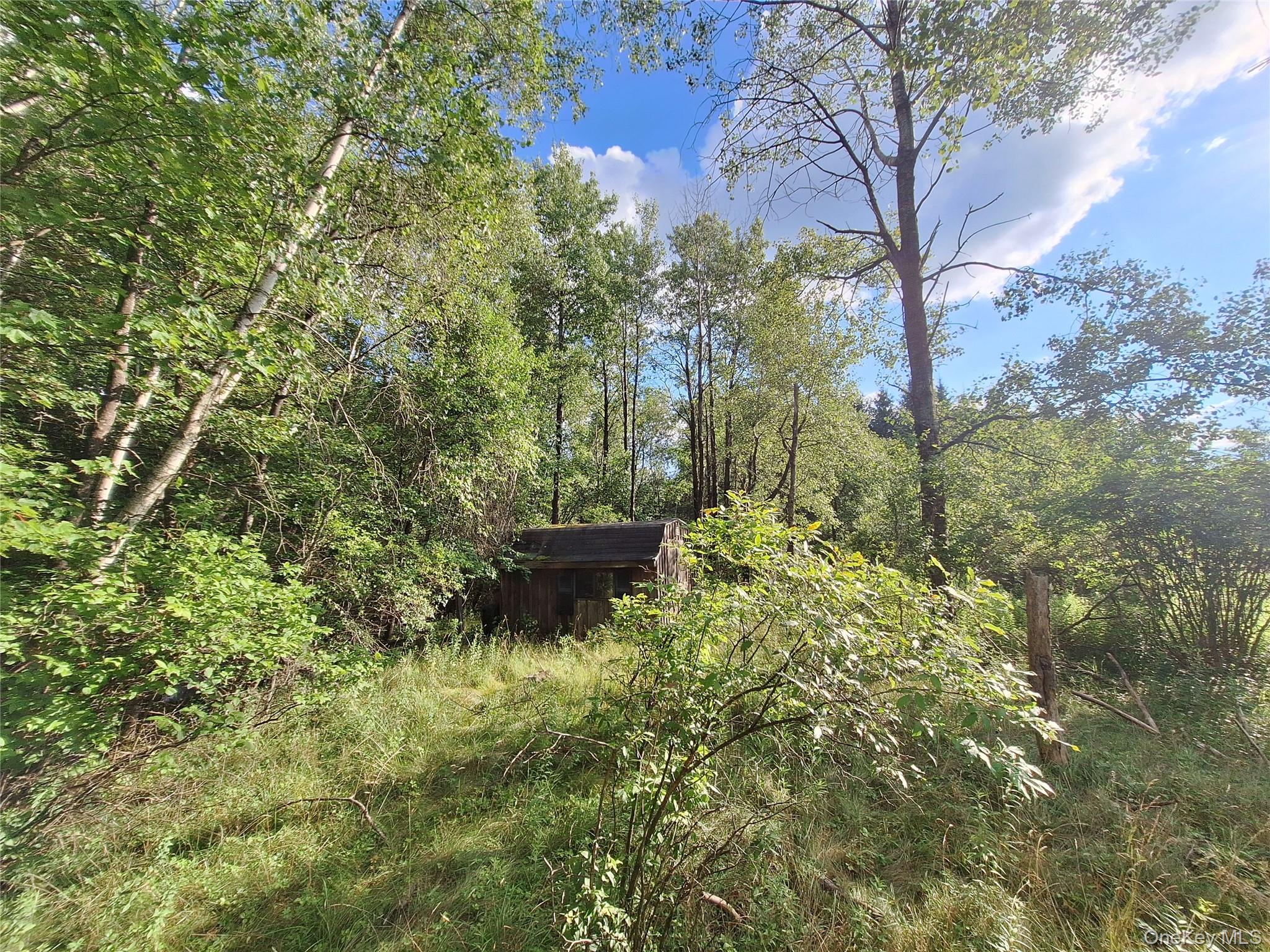 Burnt Ridge Road – For Sale photo 11
