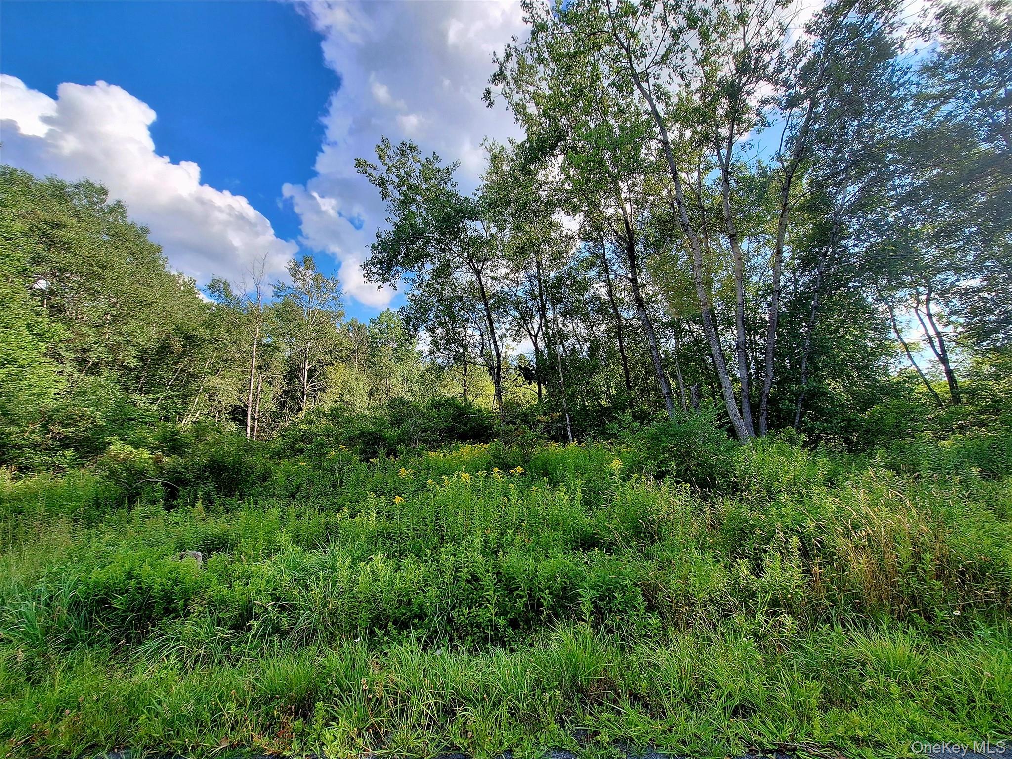Burnt Ridge Road – For Sale photo 30