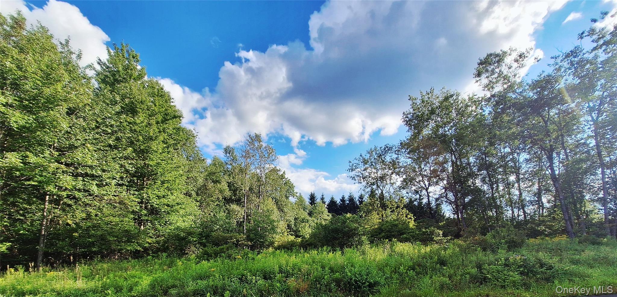 Burnt Ridge Road – For Sale photo 13