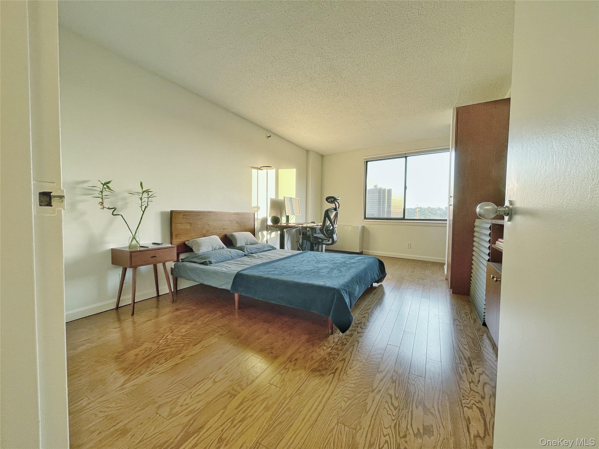 10 Cottage Place, Unit 10G photo 4