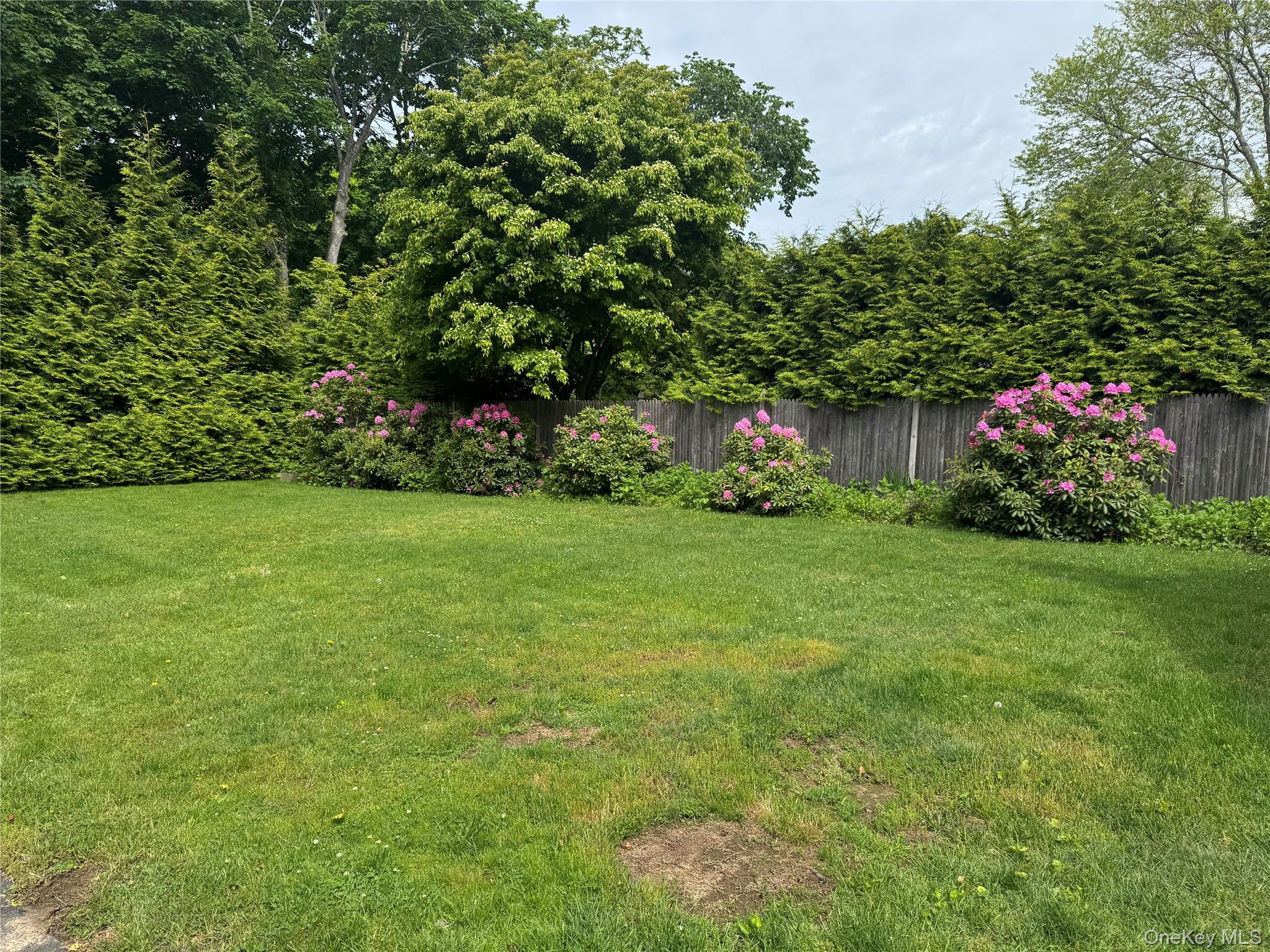 21 Elm Street – For Rent photo 16