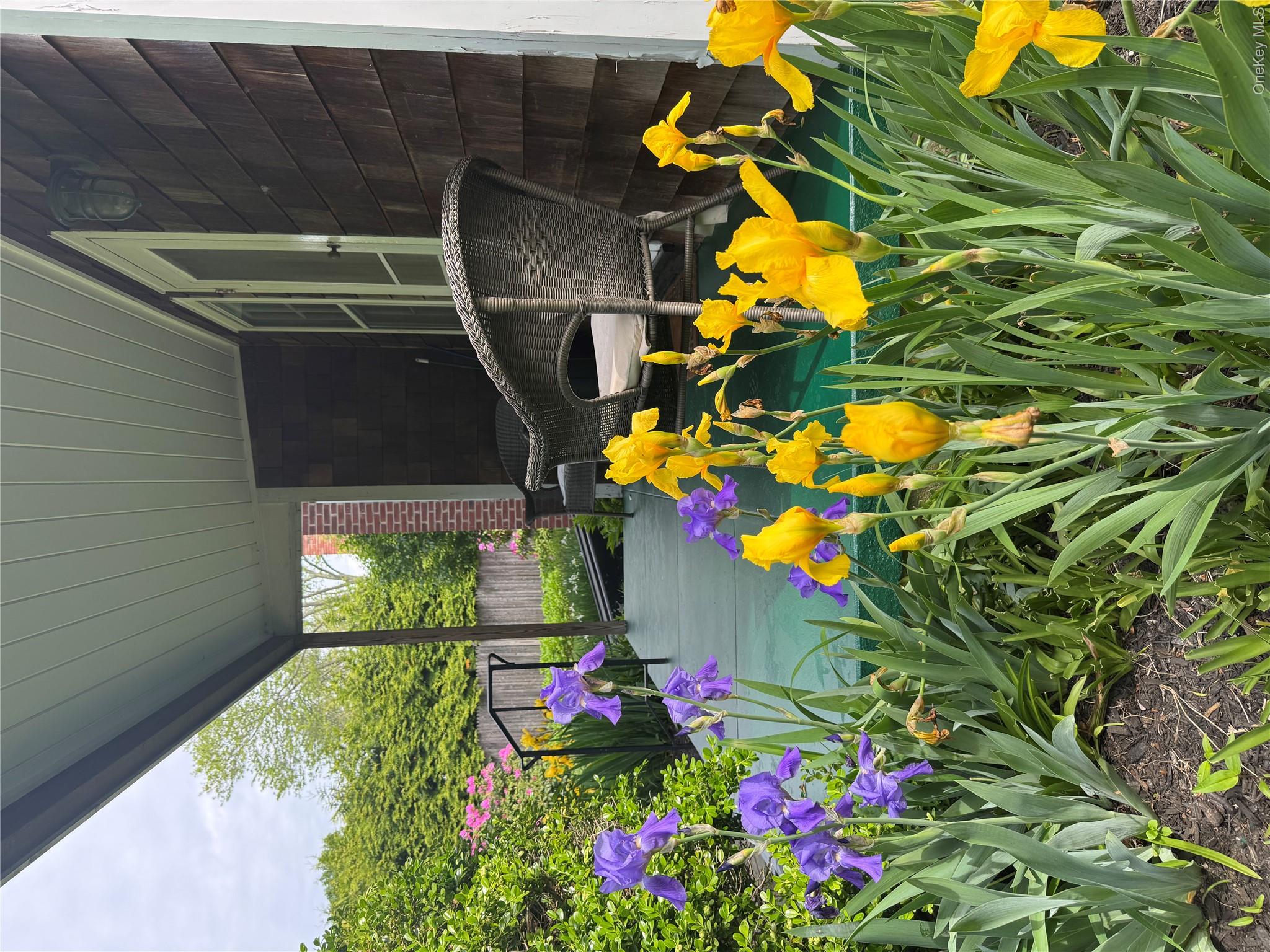 21 Elm Street – For Rent photo 2