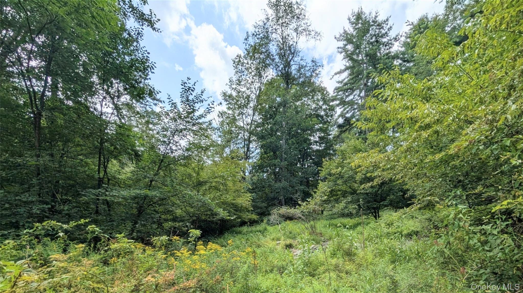 38 Hoffman – For Sale photo 32