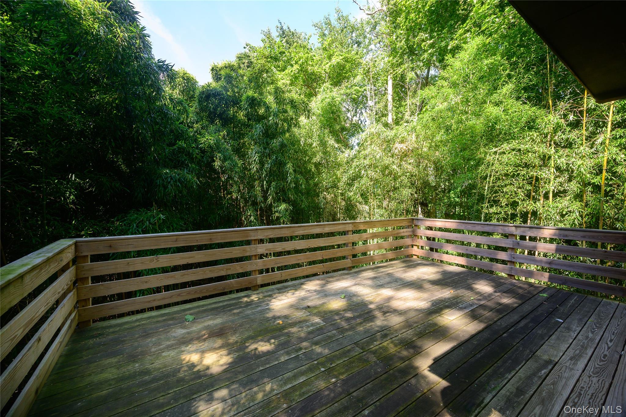 344 Sprain Road – For Sale photo 43
