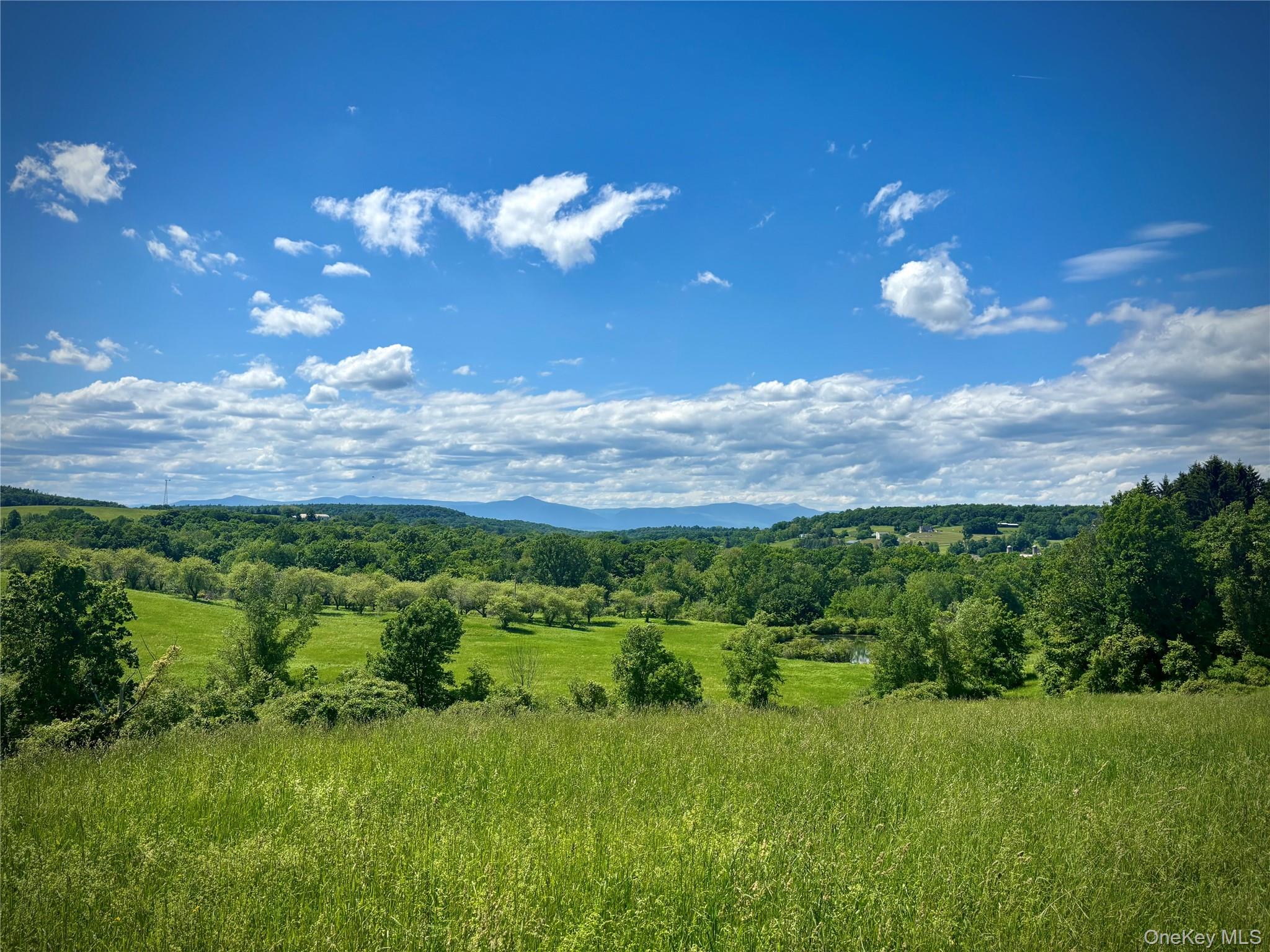 2727 County Route 8 – For Sale photo 2