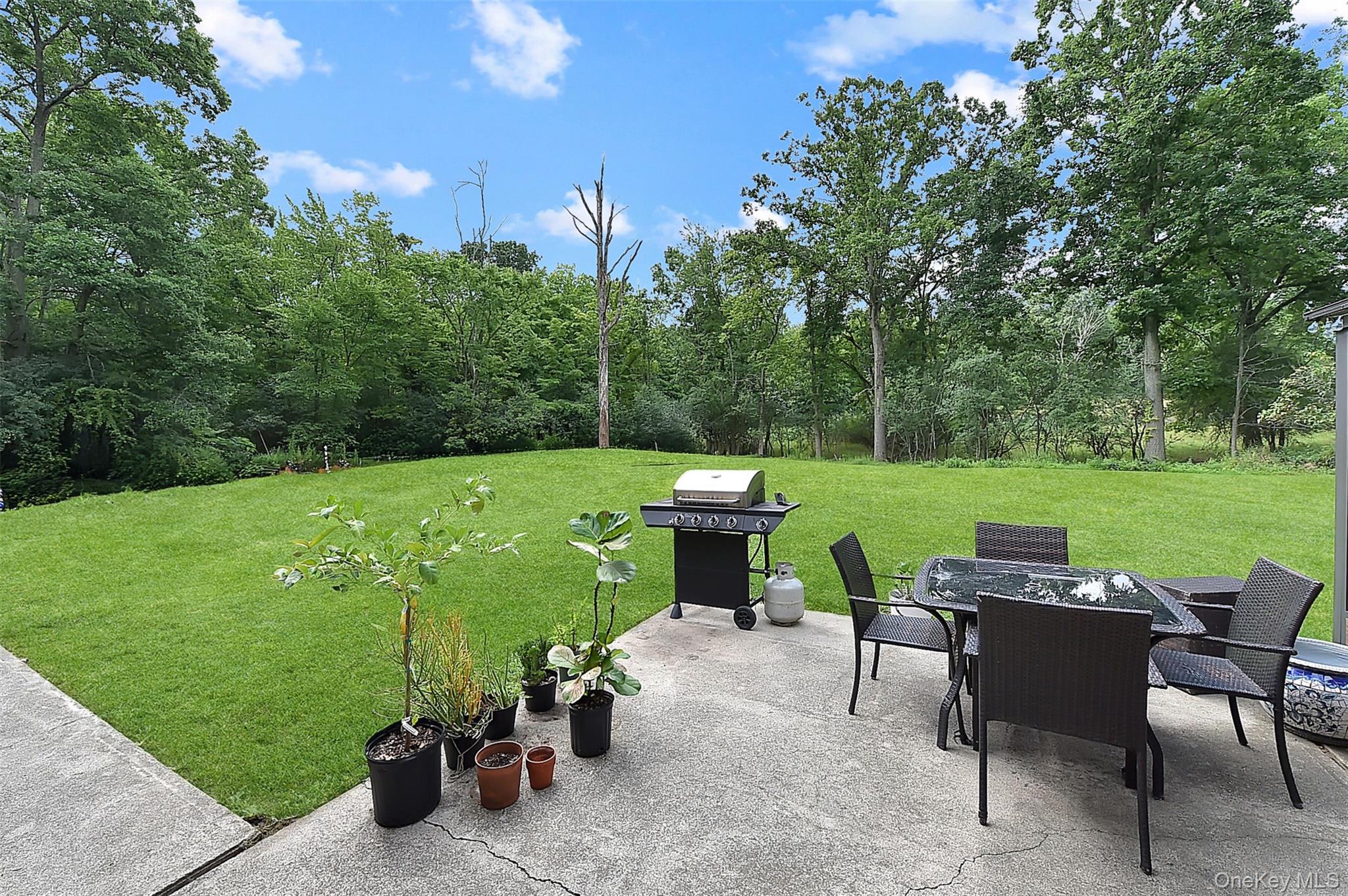 243 Hill Road – For Sale photo 45