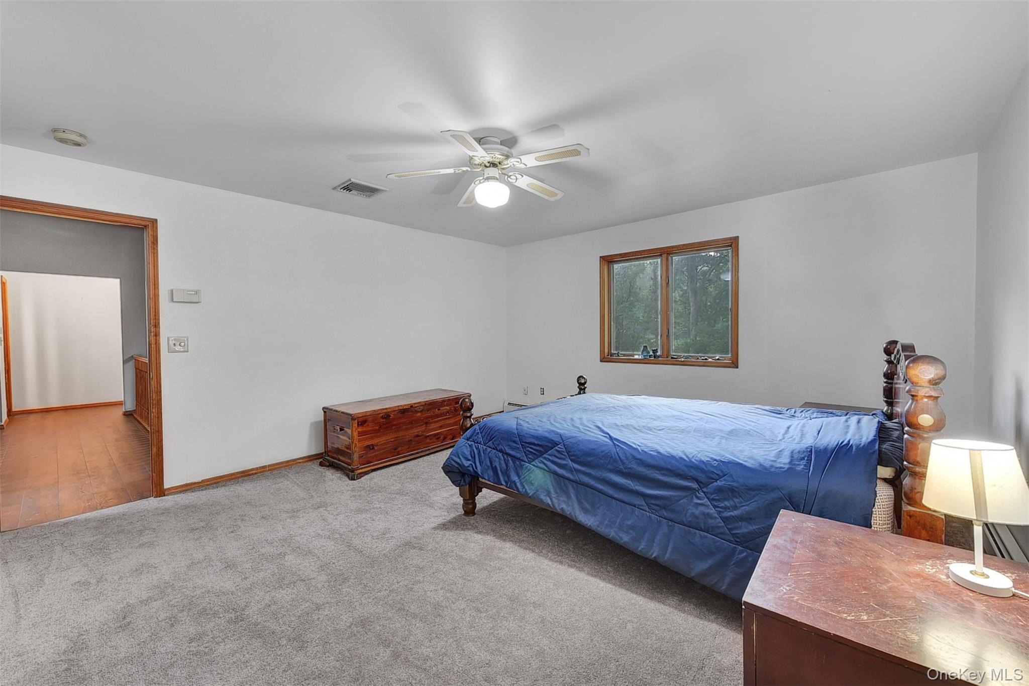 243 Hill Road – For Sale photo 35