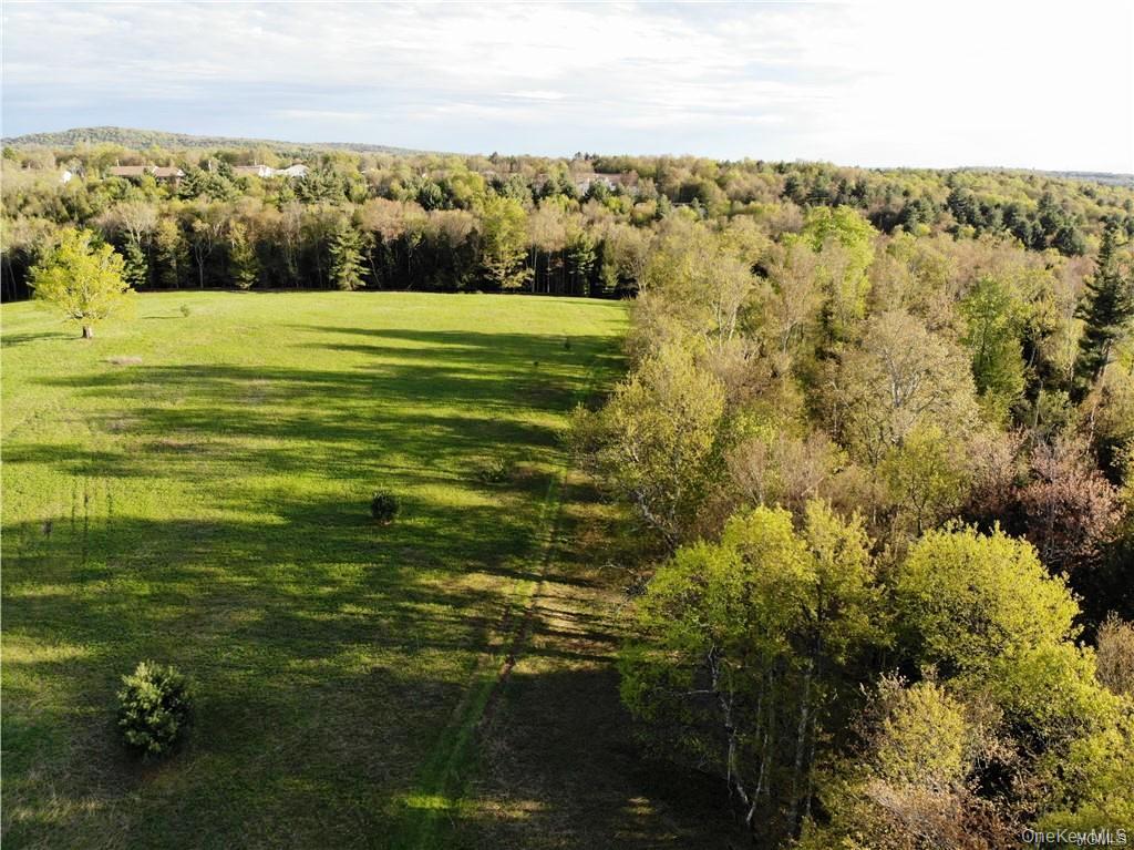 00 Benmosche Road – For Sale photo 23
