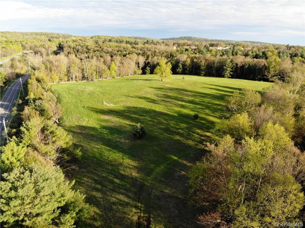 00 Benmosche Road – For Sale photo 29