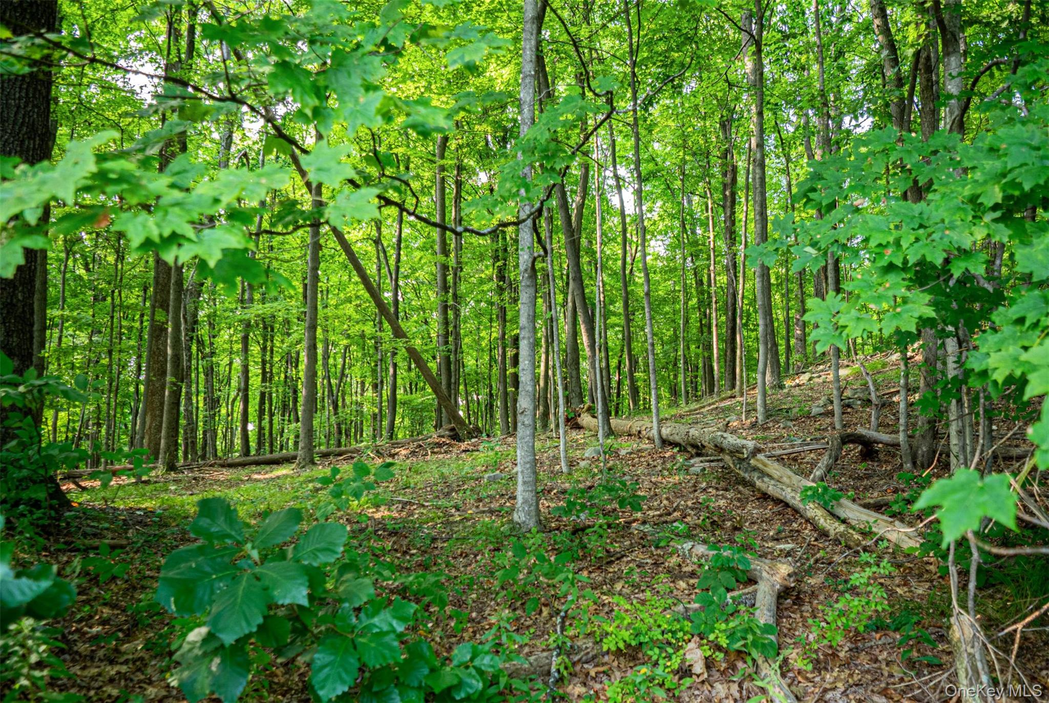 608 Kirbytown Road – For Sale photo 23