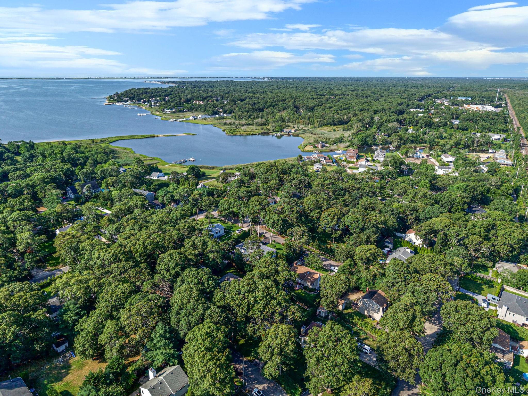 4 Vine Street – For Sale photo 25