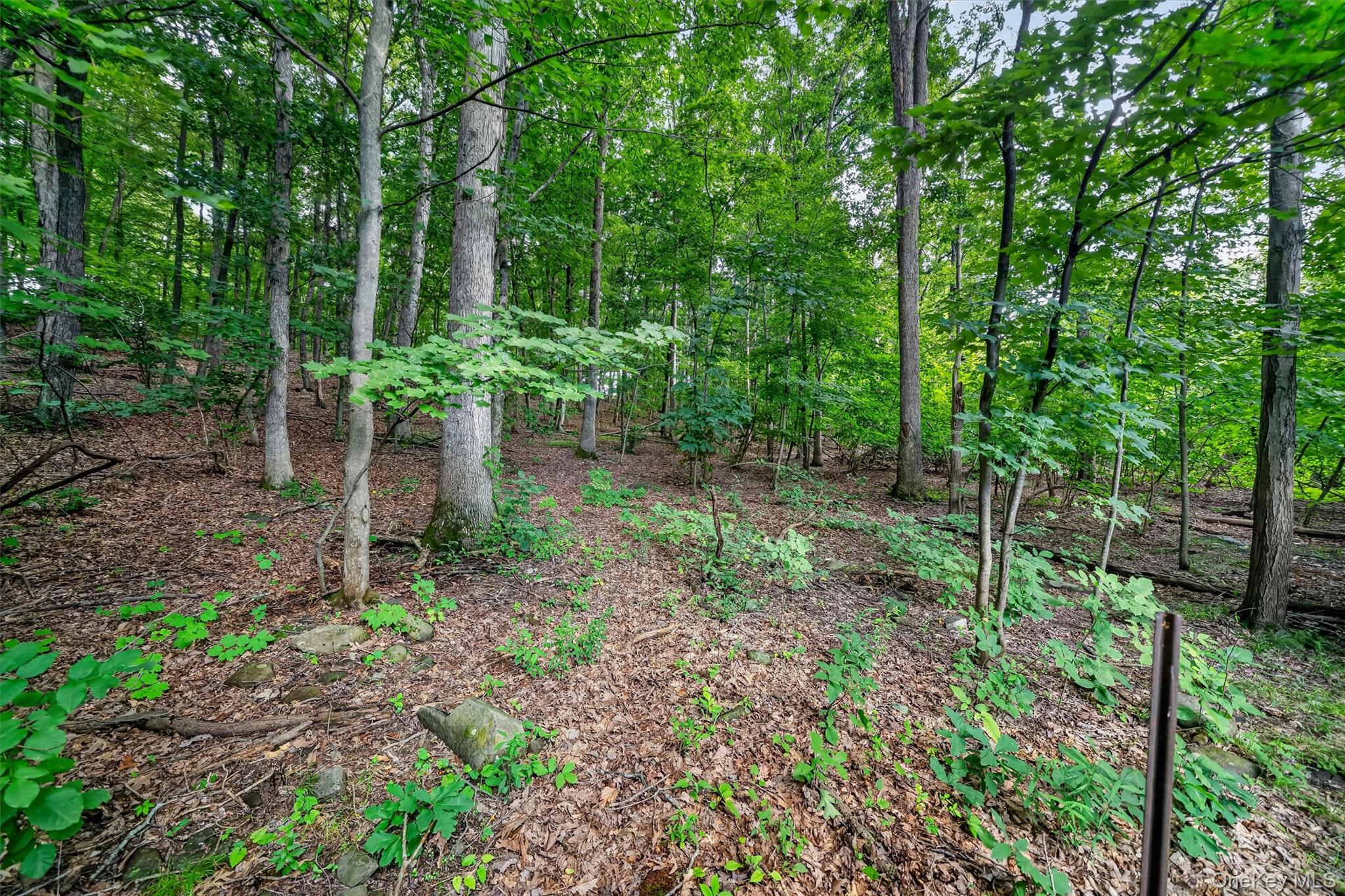 368 Old Dutch Hollow Road – For Sale photo 35