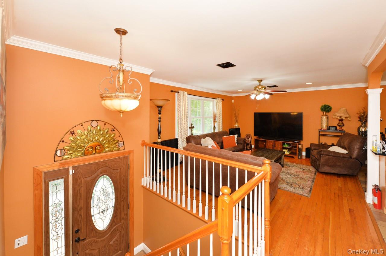 19 Dowd Street – For Sale photo 5