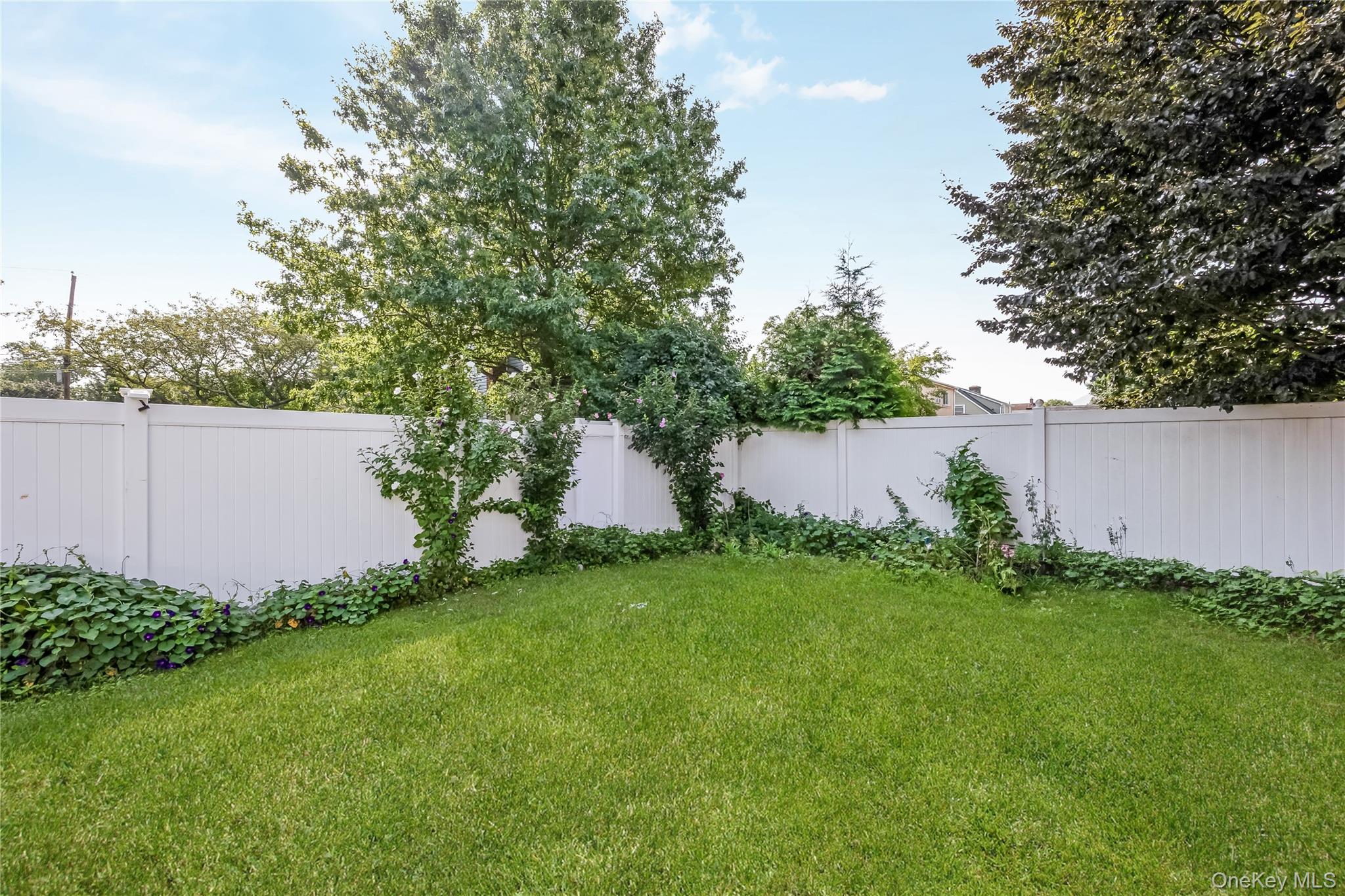442 Cedar Street – For Sale photo 26