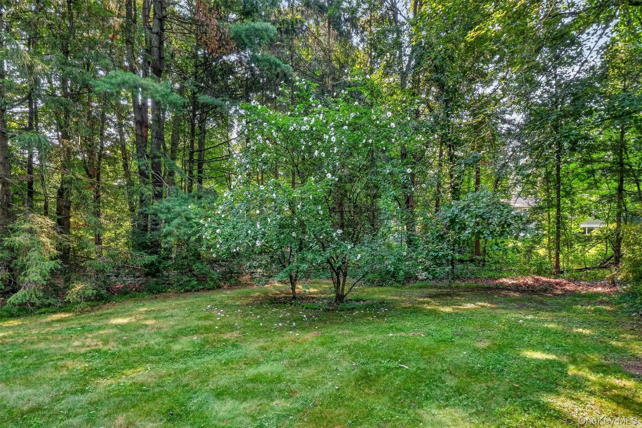 37 Julie Drive – For Sale photo 38