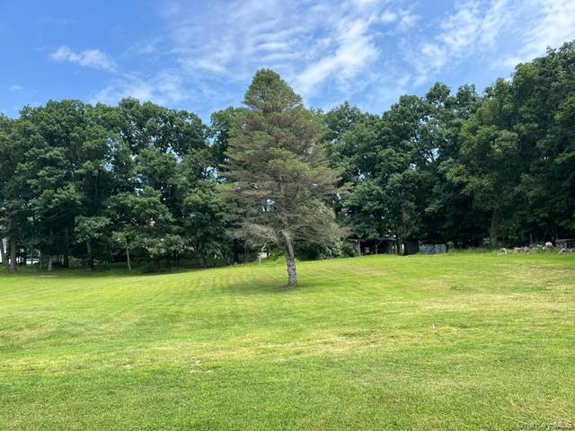 289 Route 210 – For Rent photo 12