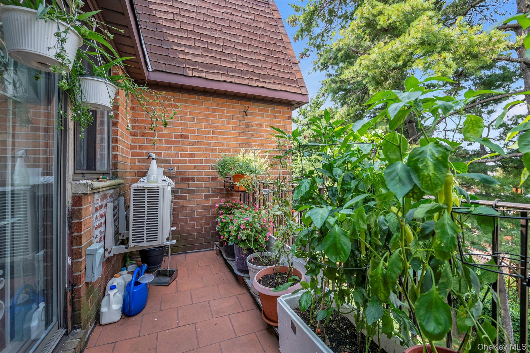 74-49 Calamus Avenue, Unit 51 photo 14