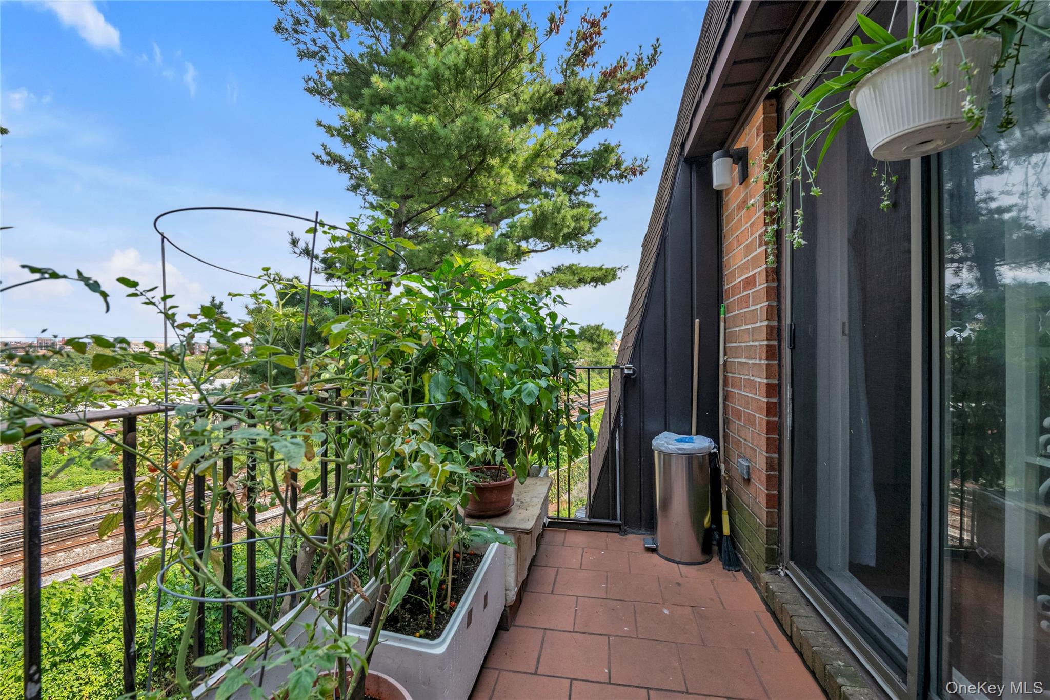 74-49 Calamus Avenue, Unit 51 photo 13