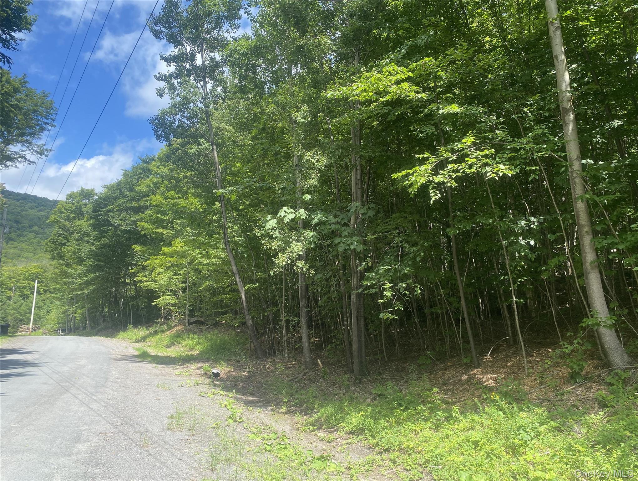 140 Arbor Road – For Sale