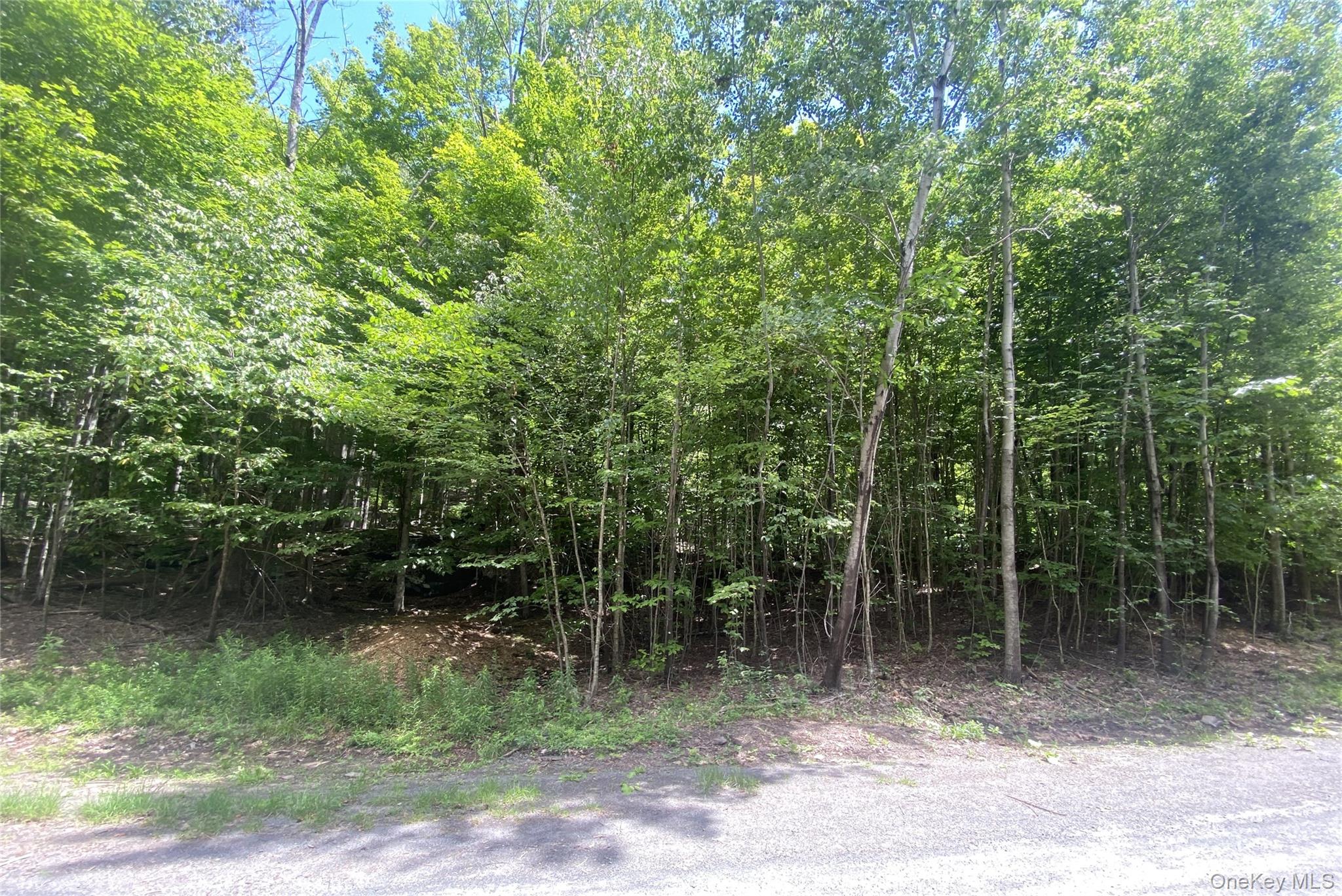 140 Arbor Road – For Sale photo 9