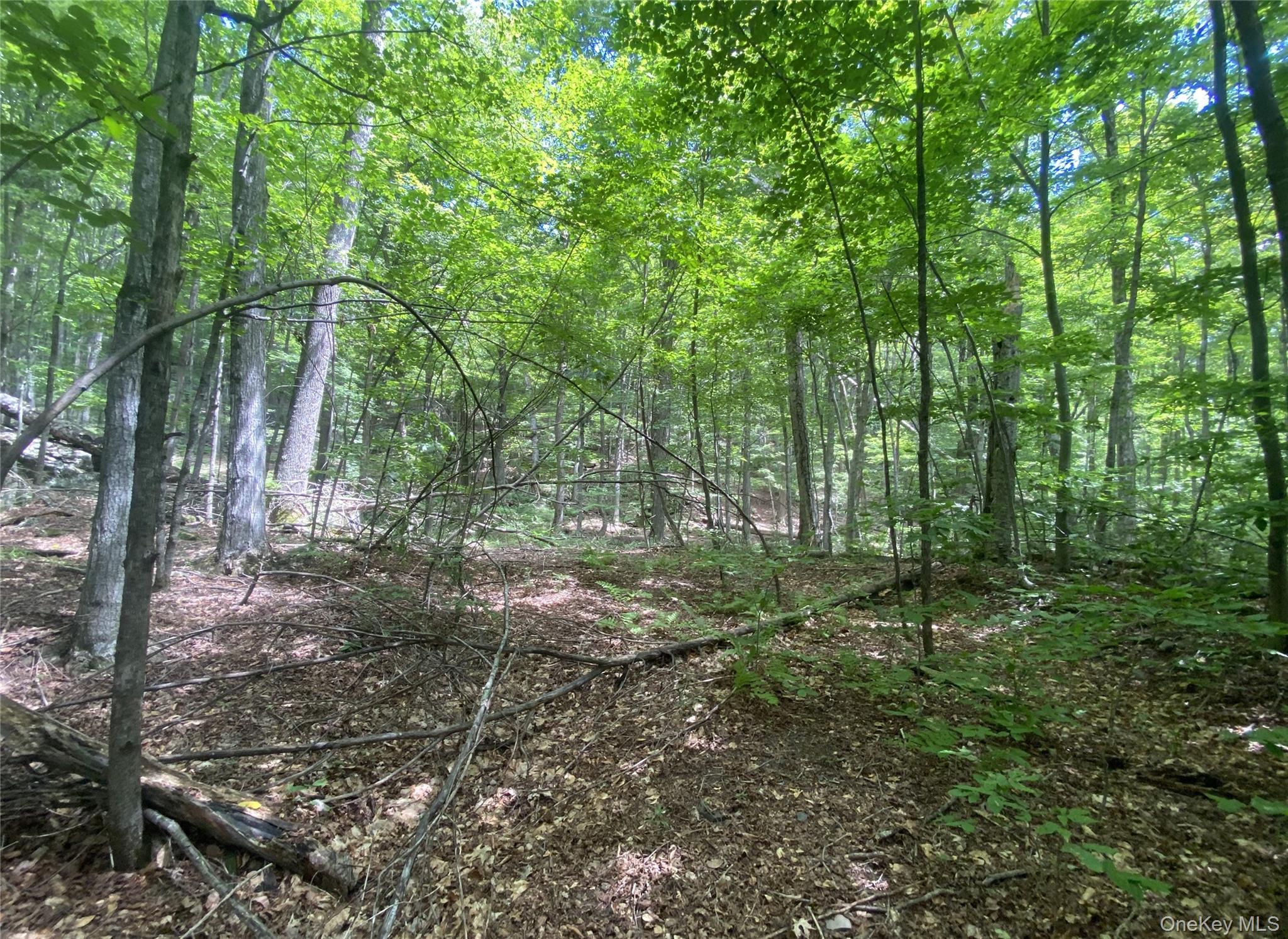 140 Arbor Road – For Sale photo 11