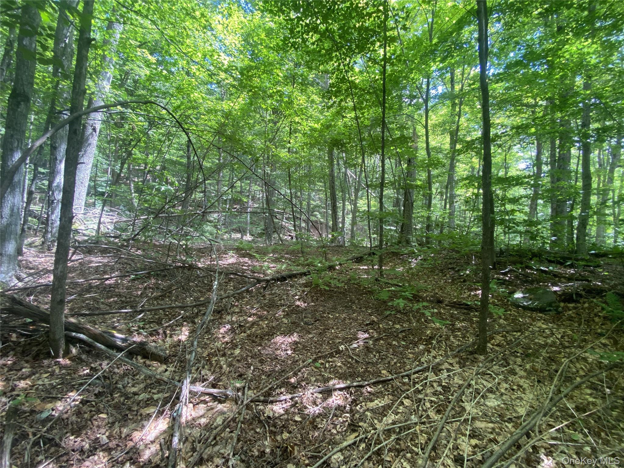 140 Arbor Road – For Sale photo 7