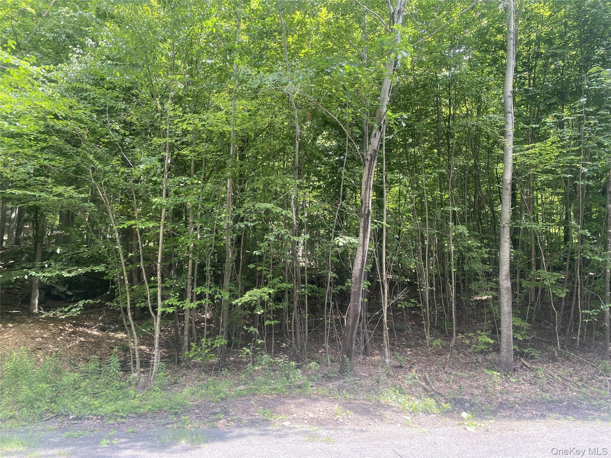 140 Arbor Road – For Sale photo 4
